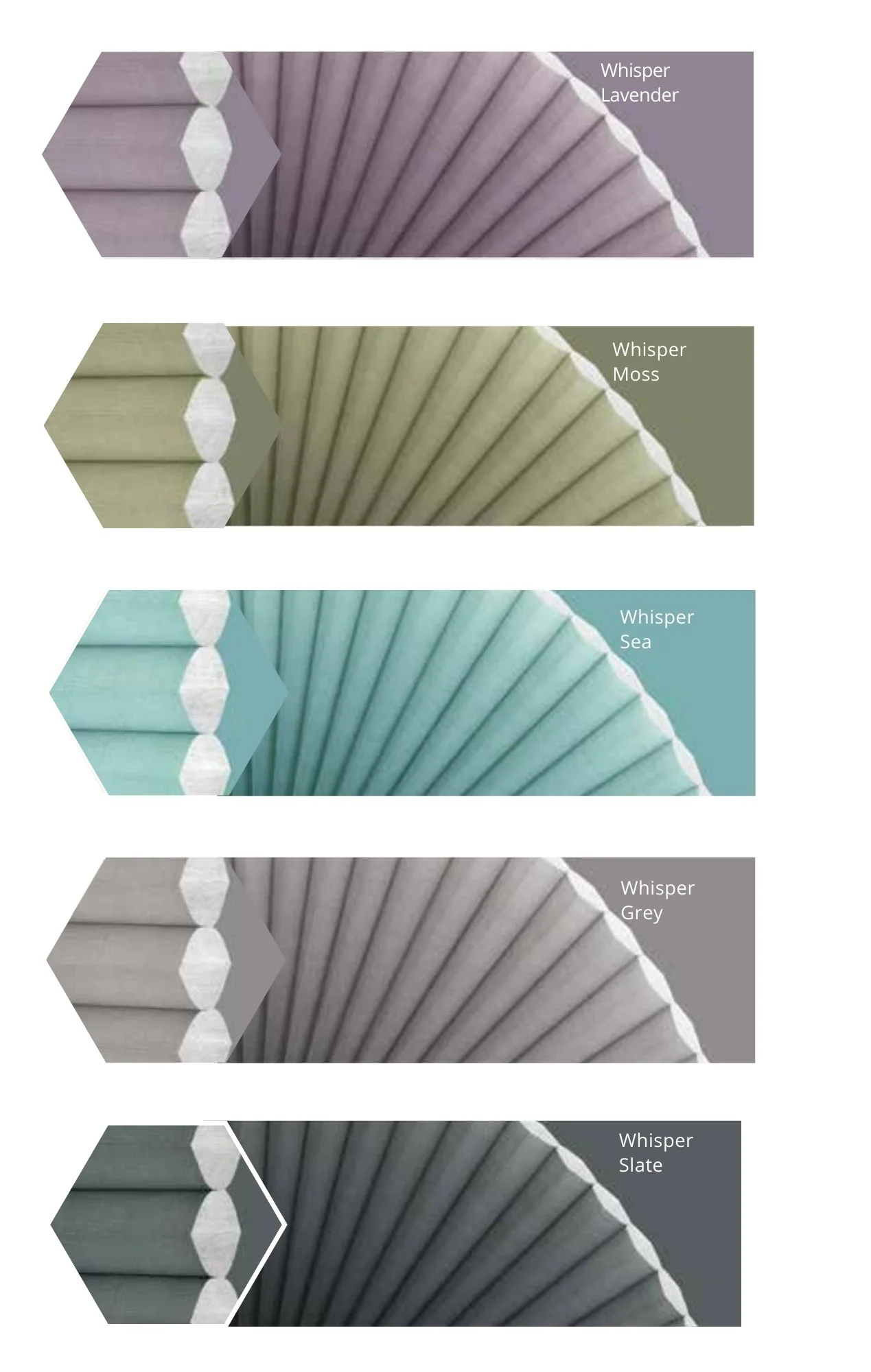 Semi-Opaque 45mm (2).jpg