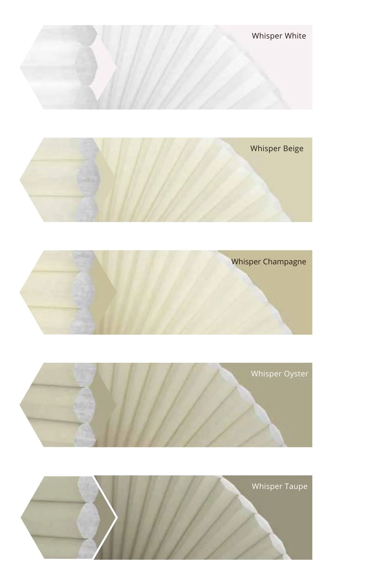 Semi-Opaque 45mm (1).jpg