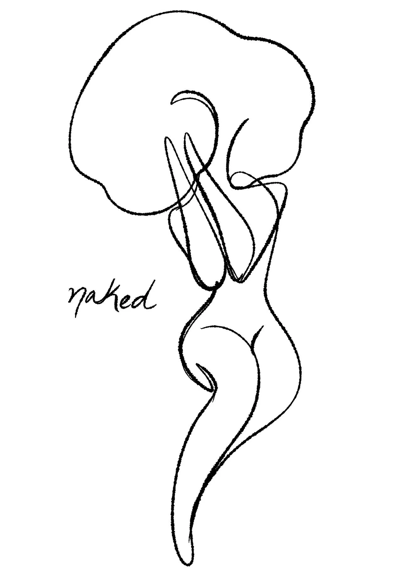 Naked E-Book
