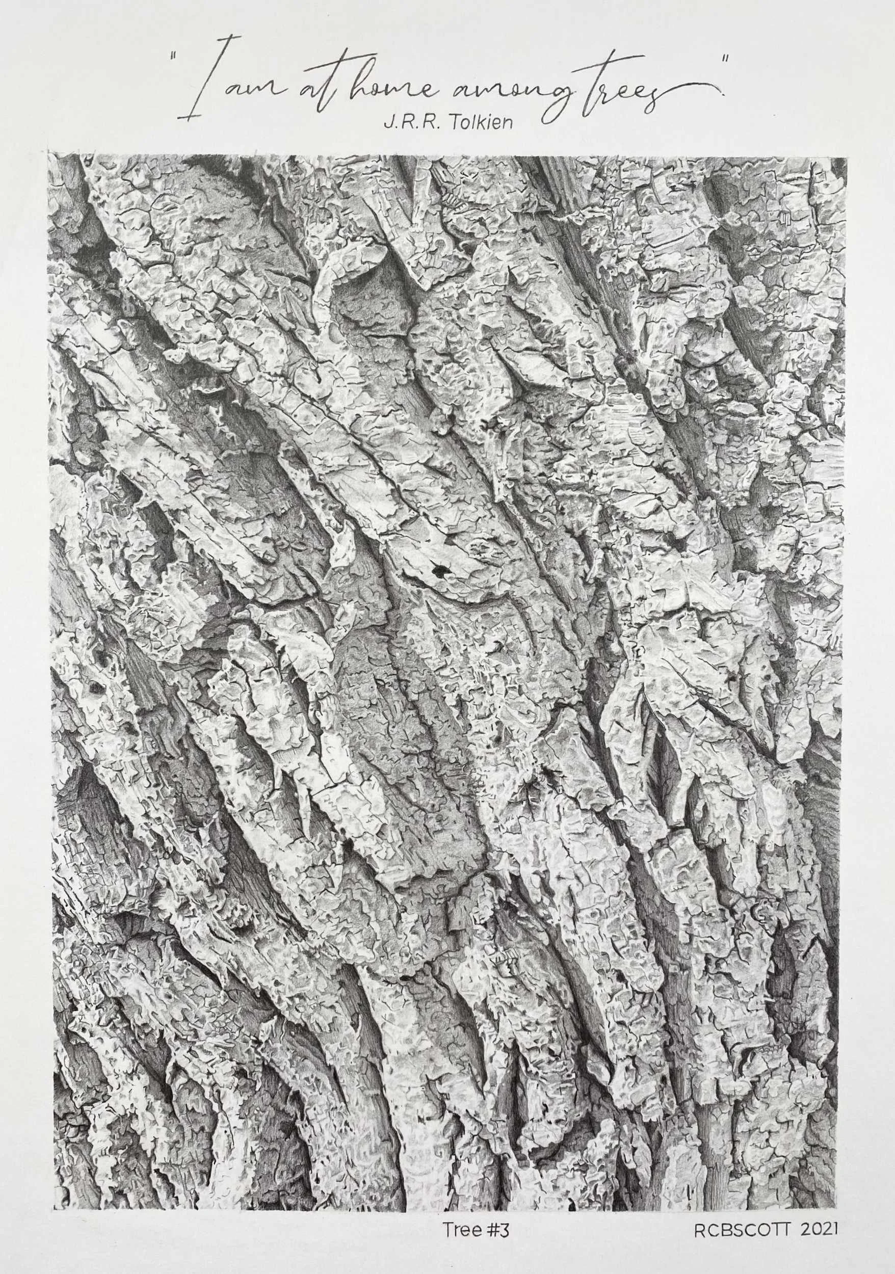 Tree No. 3 - 14" x 11" - 2021
