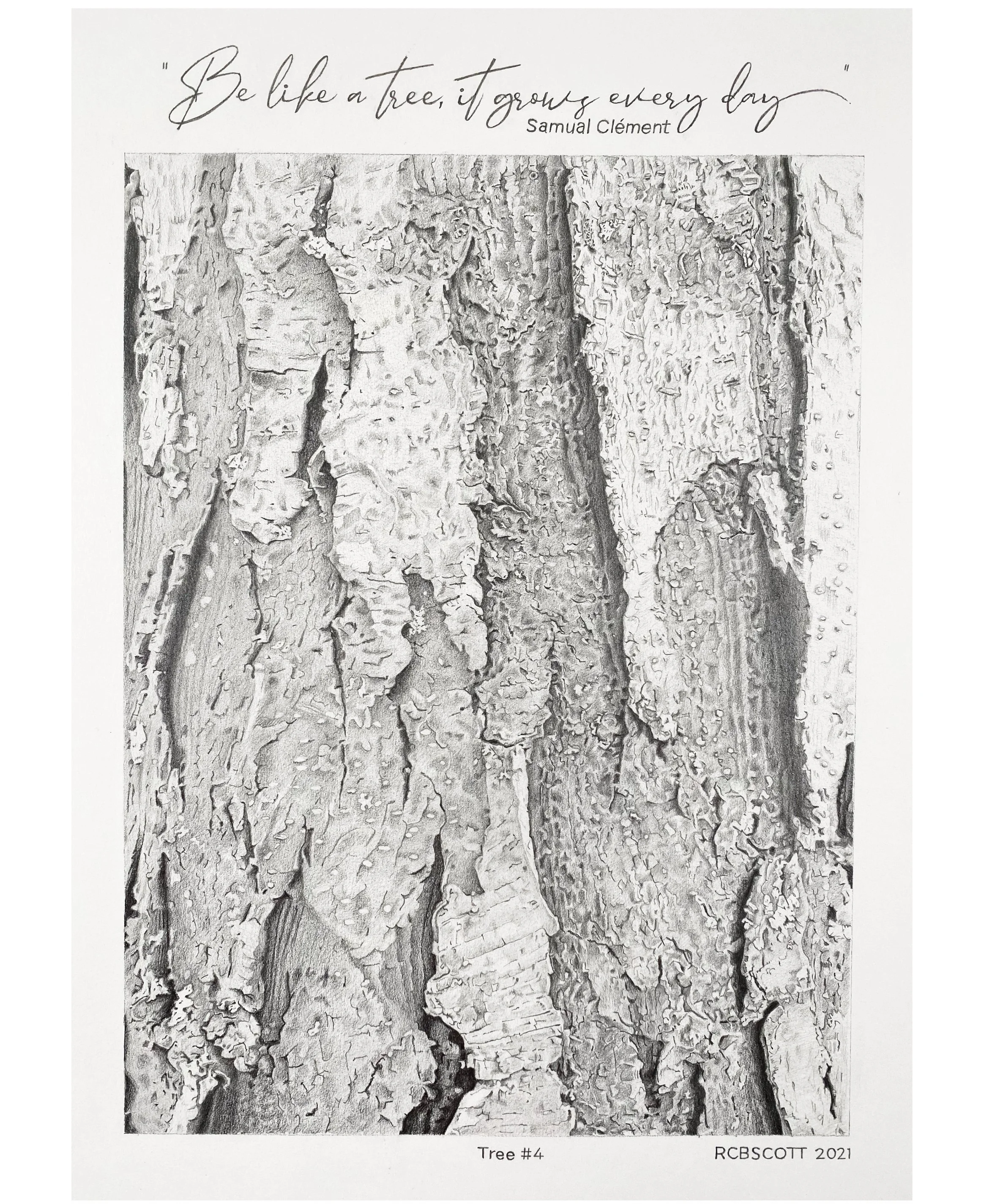 Tree No. 4 - 14" x 11" - 2021