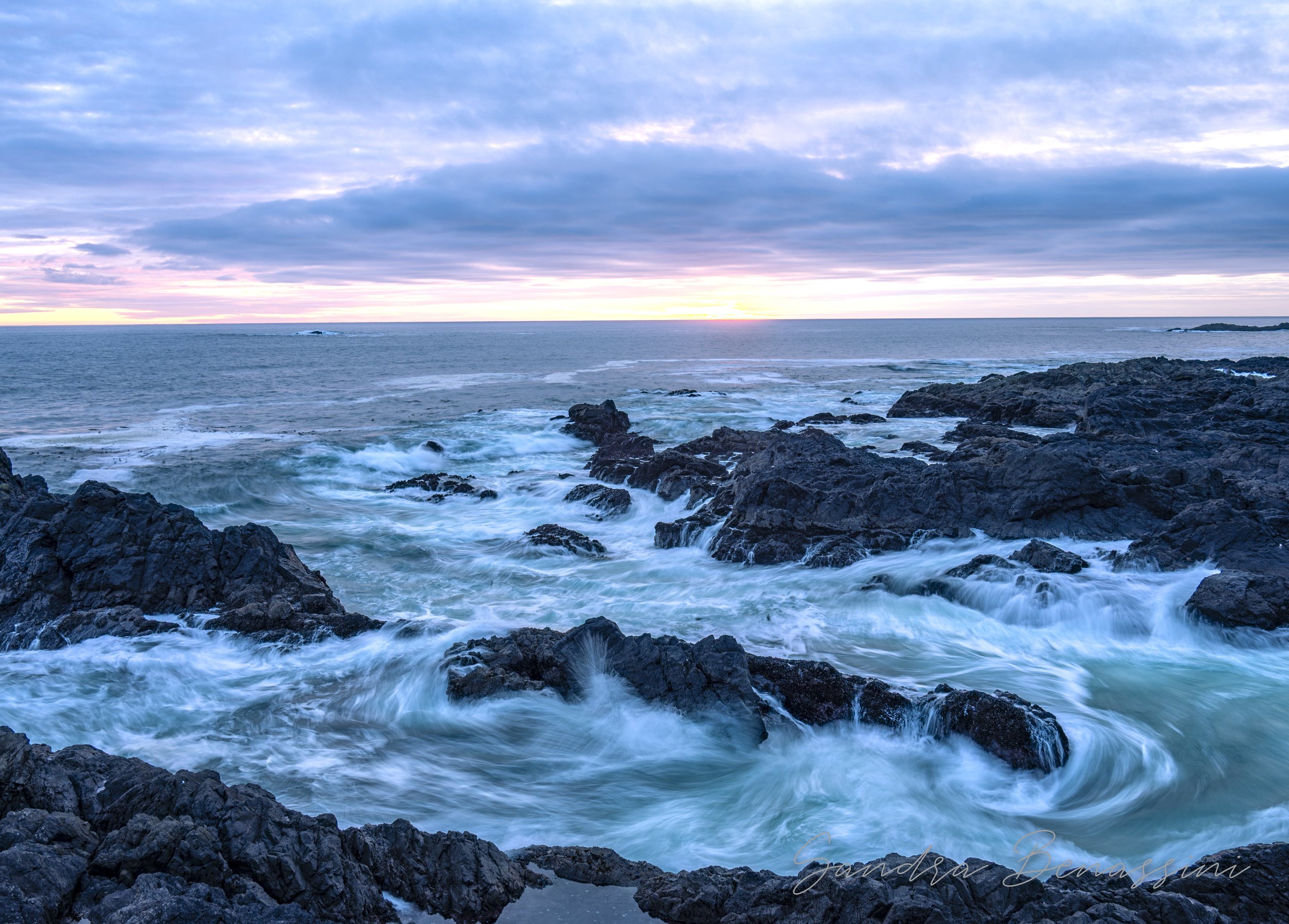 Programa de Terapia Fotografica. Enero 22- Feb 26, 2026