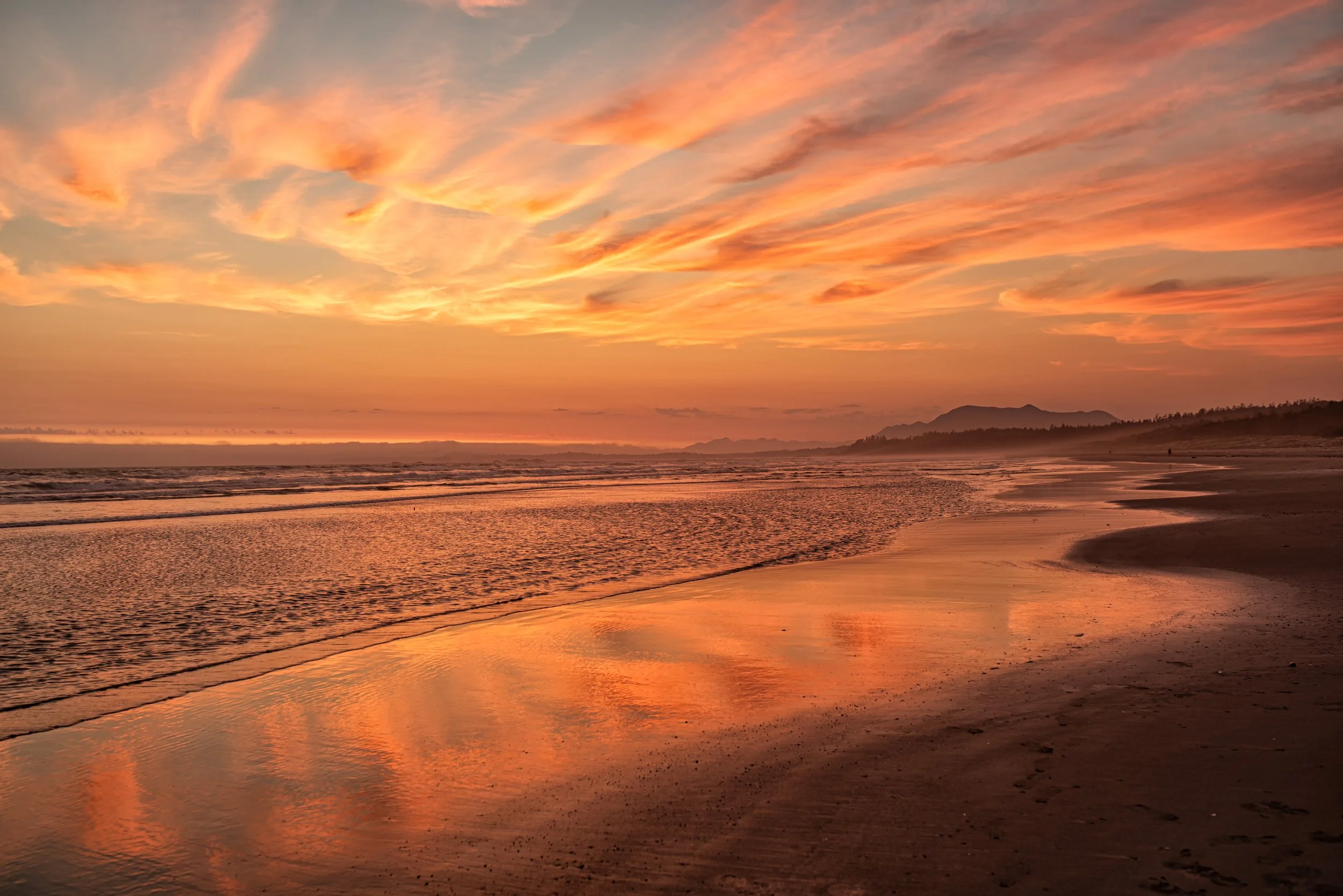 _DSC3624-Edit.jpg
