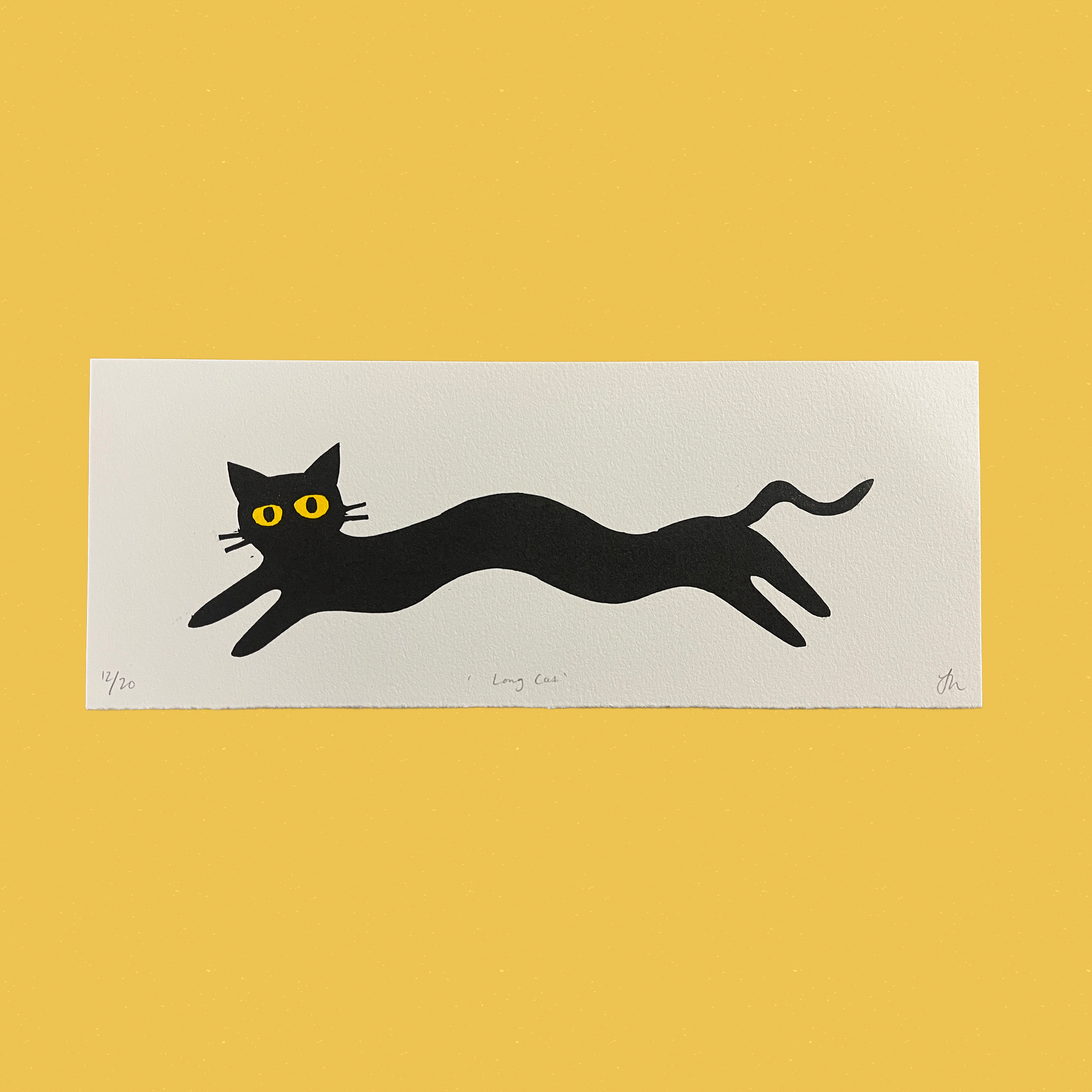 long cat.png