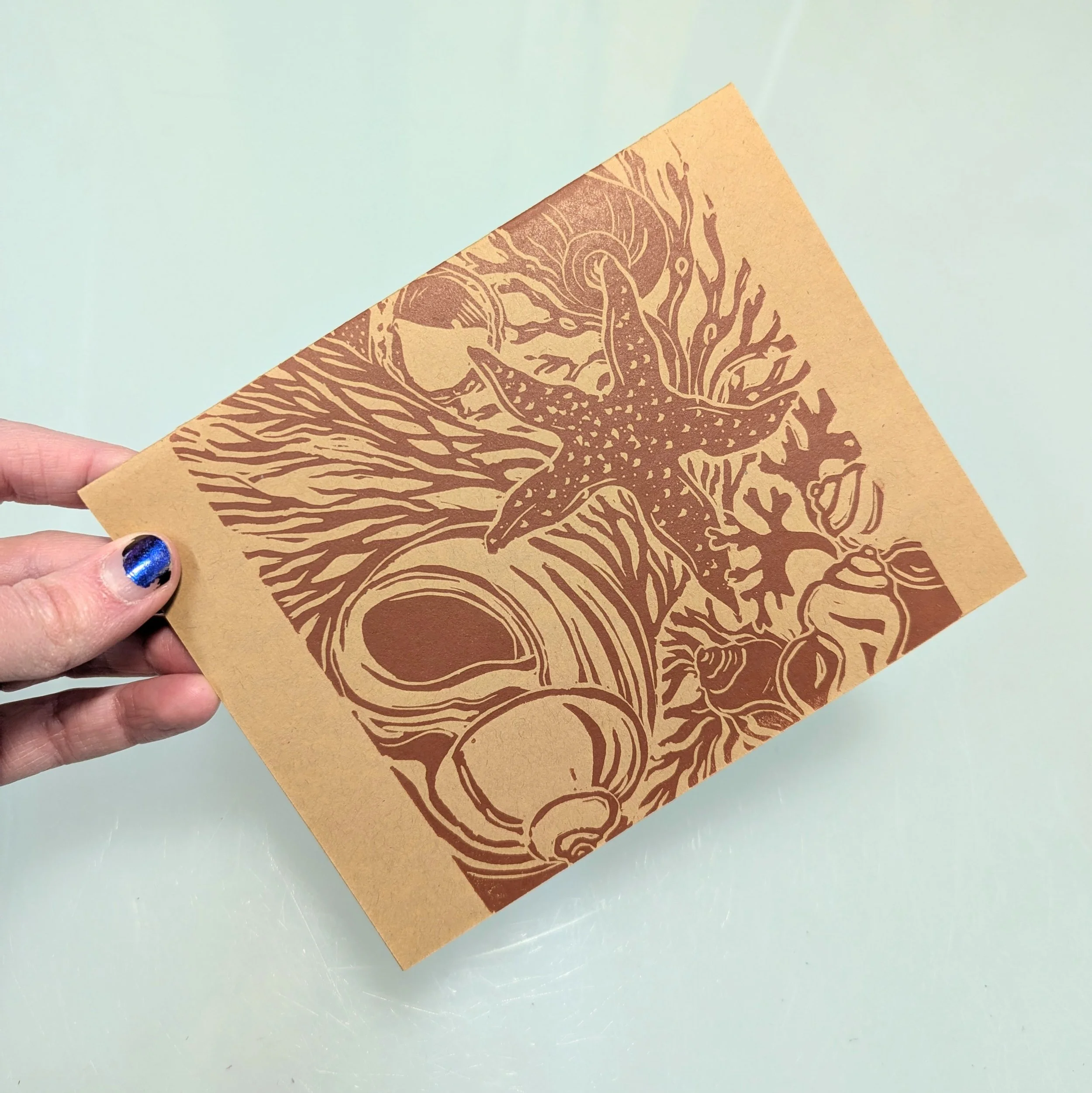 Ocean Fold-Out - Kristy Cunnane