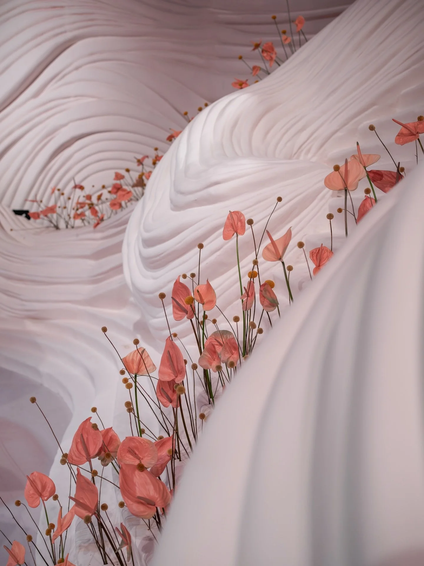 Decor @ghadeerashoor 🌸