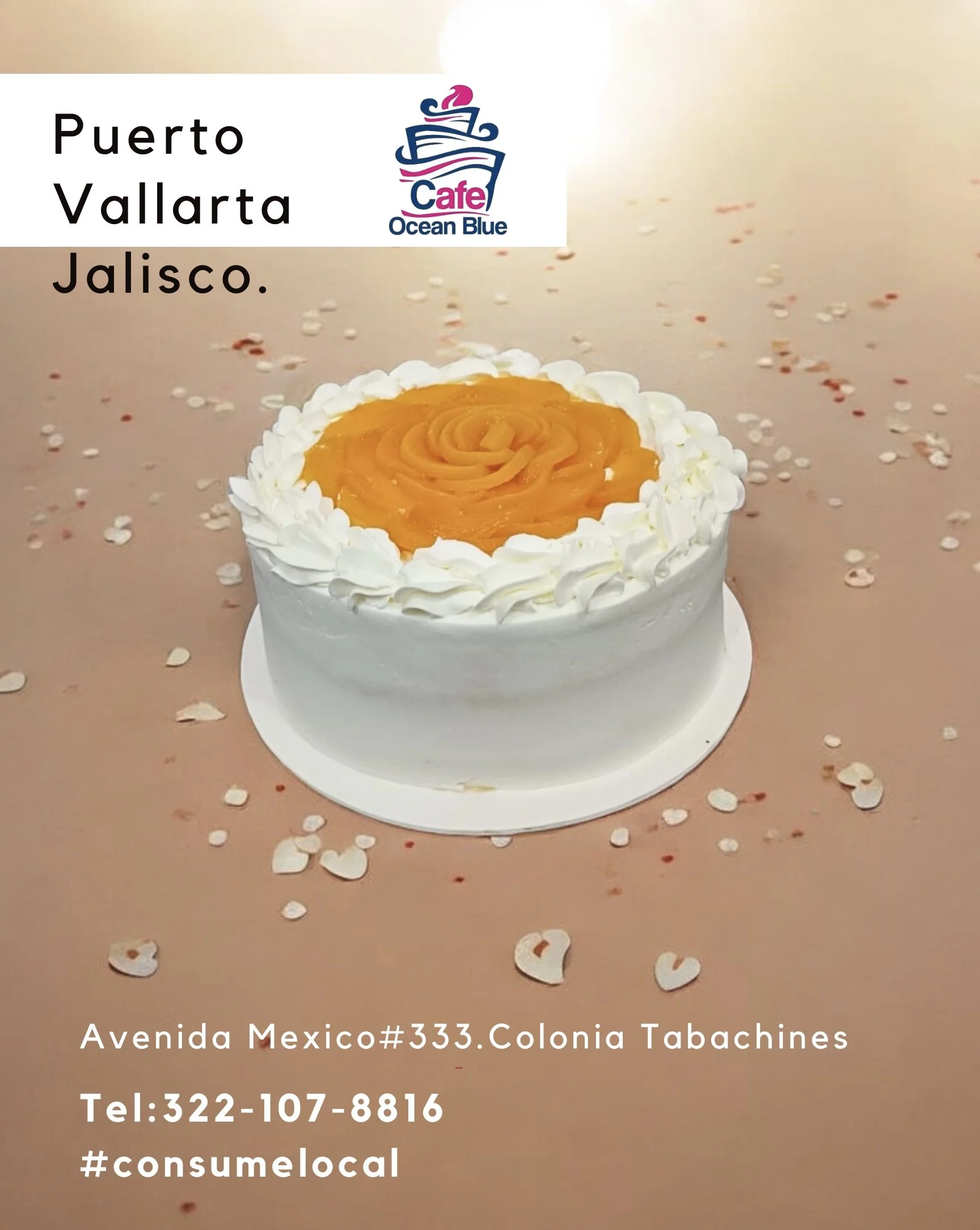 Copia de Puerto Vallarta Jalisco Mex.png.jpeg