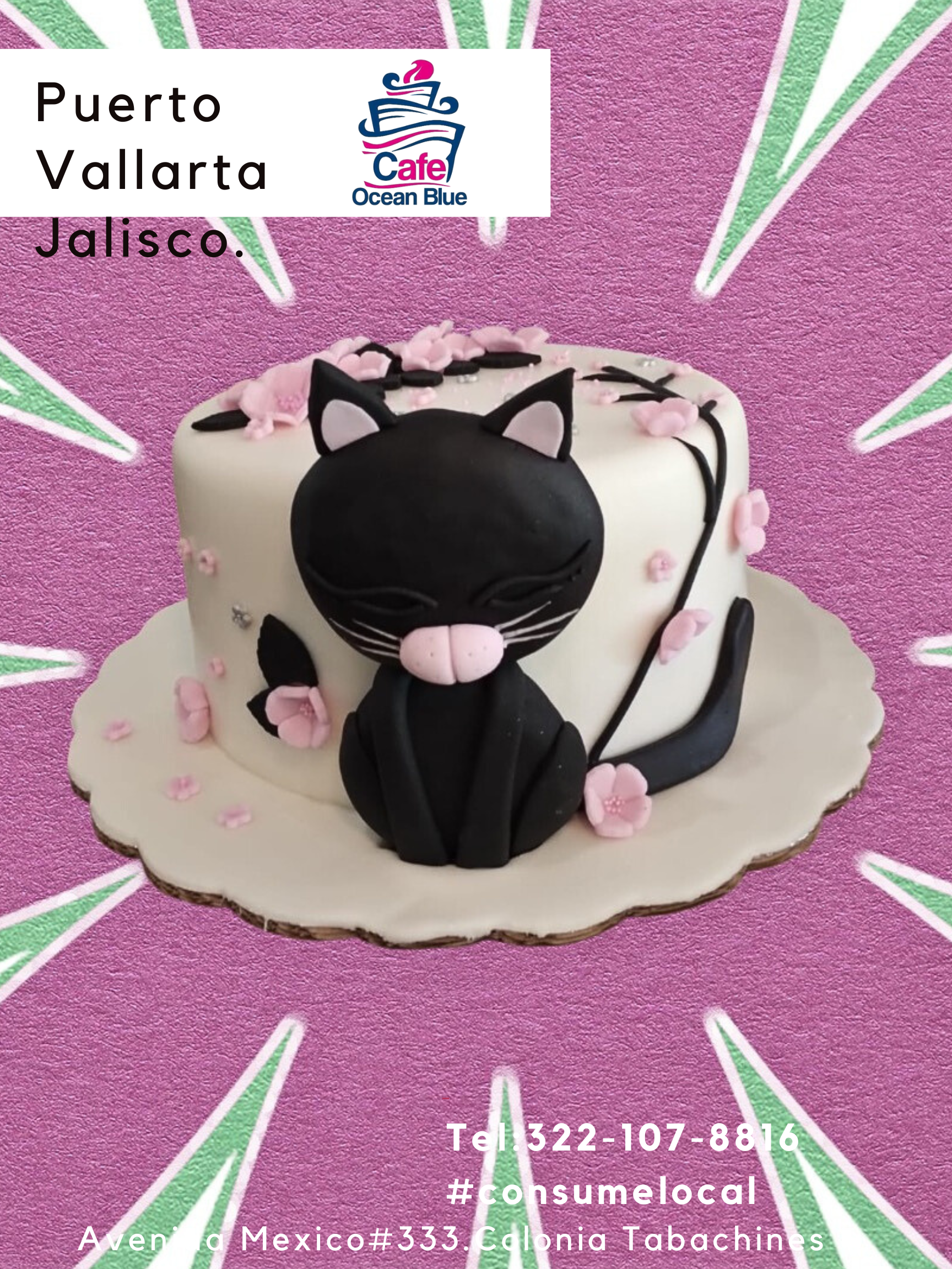 Copia de Puerto Vallarta Jalisco Mex.png 2.png