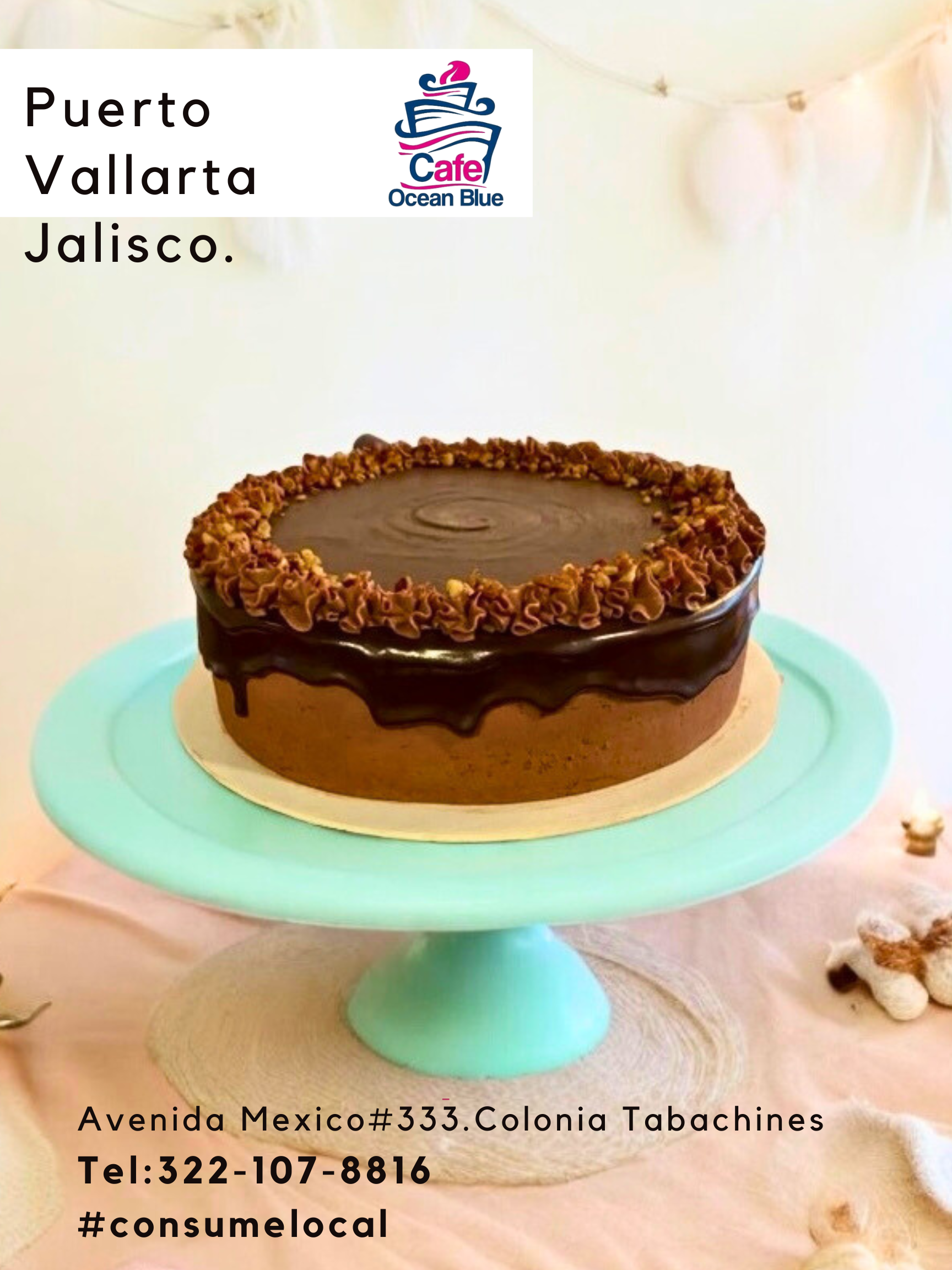 Copia de Puerto Vallarta Jalisco Mex.png (1).png