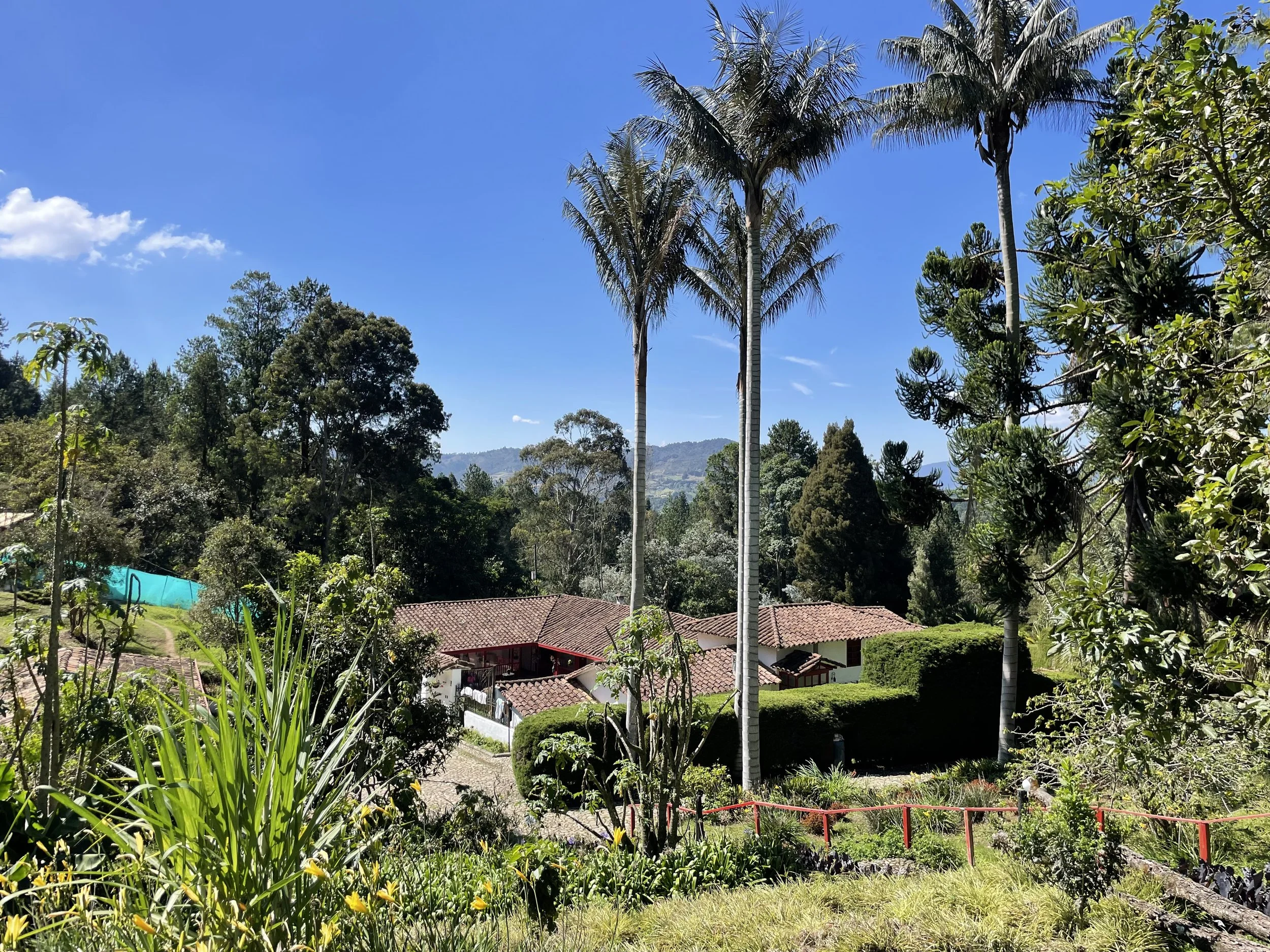 5. Dhamma Jotti Main Photo of Center.jpeg