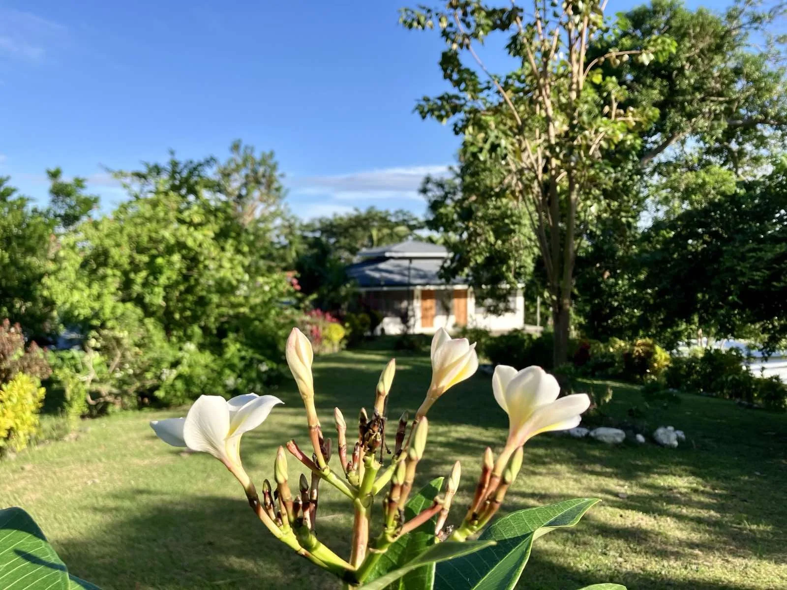 A Resounding Gong: Dhamma Phala's Journey of Renewal and Growth