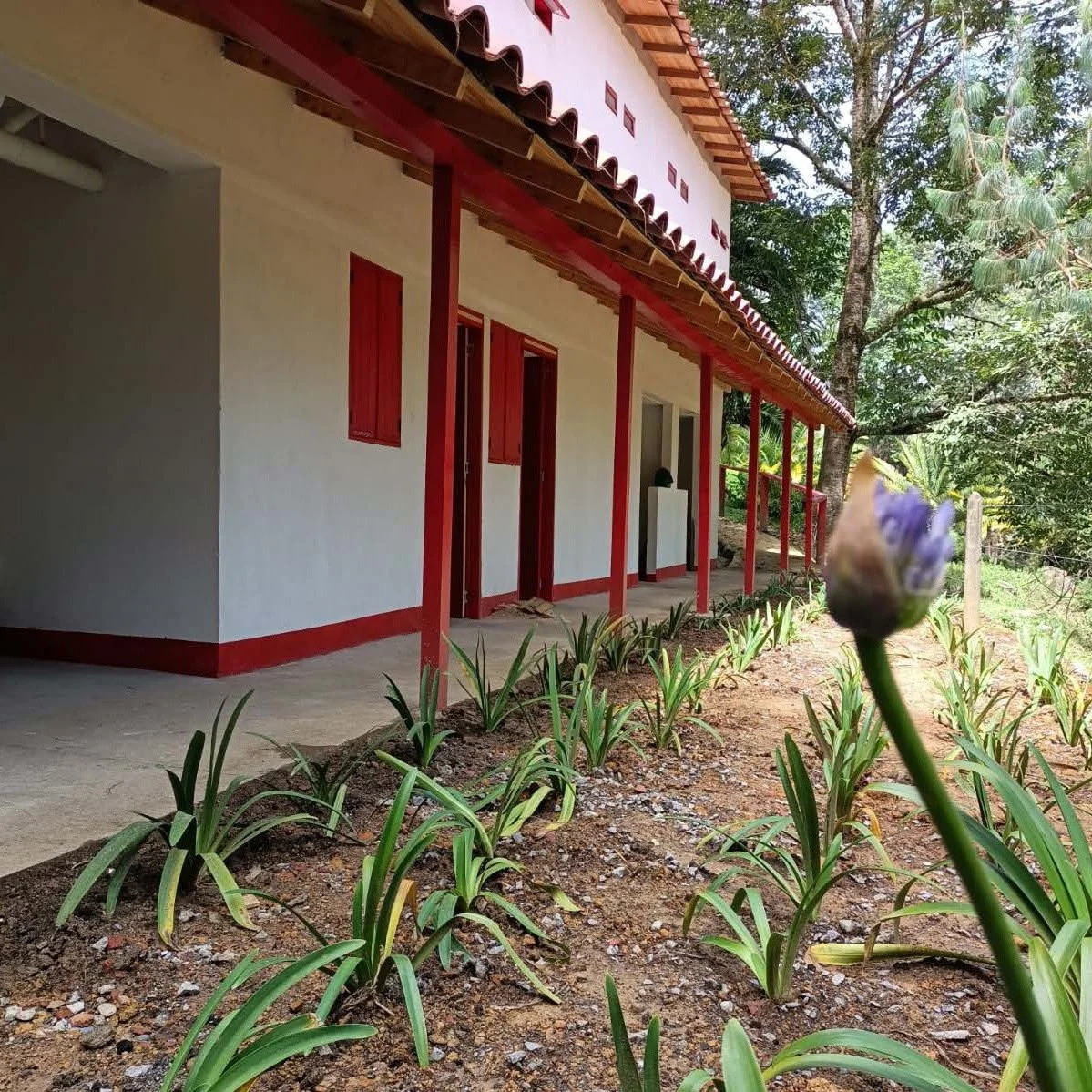 We&rsquo;re happy to share that Dhamma Gutti, in Colombia, has completed its first 45-day course last quarter. This is a large milestone for Latin America to begin offering 45-day courses that are easily accessible from all over the country. 

To sup