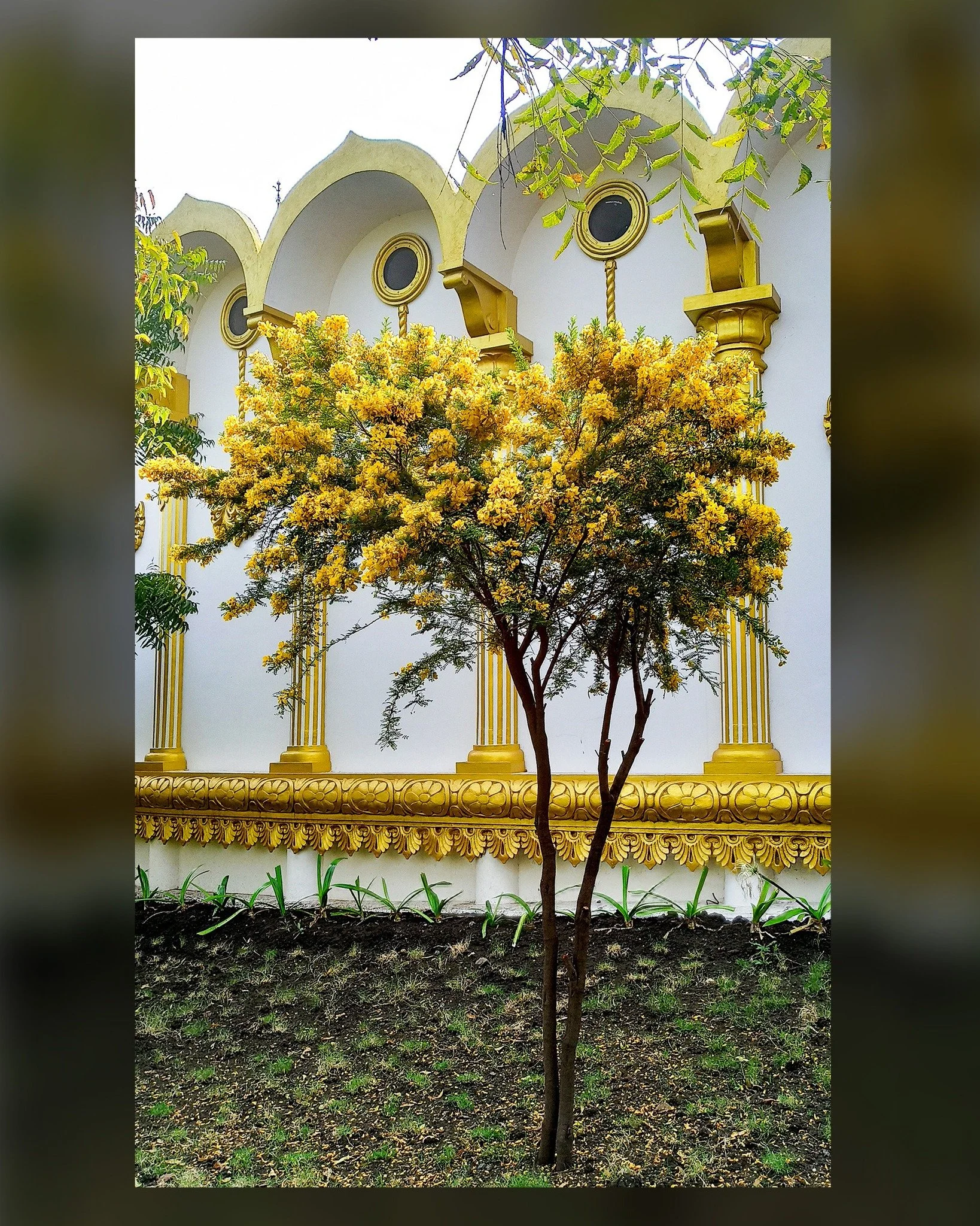 With joy and mettā, we share an update from Dhamma Pala, India: The path of Dhamma is being illuminated&mdash;quite literally&mdash;as another milestone in their expansion has been reached.

The electrical infrastructure for the new male and female a