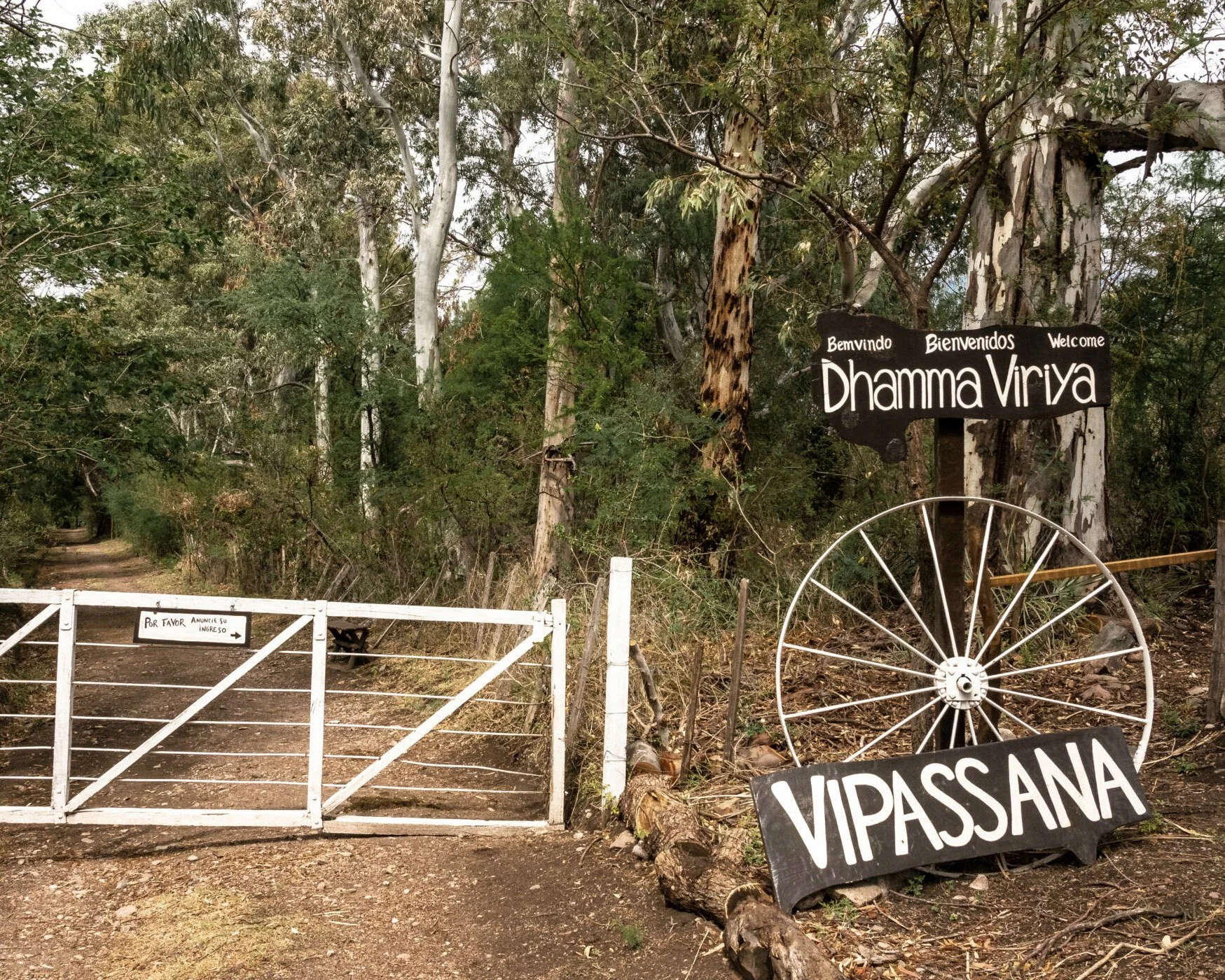 Update from Dhamma Viriya, Argentina:

Dhamma Viriya, meaning &ldquo;Effort in Dhamma&rdquo;, continues to be a place where many come to cultivate sila, samadhi, and pa&ntilde;&ntilde;ā for their liberation. Like all meditation centers, it requires s