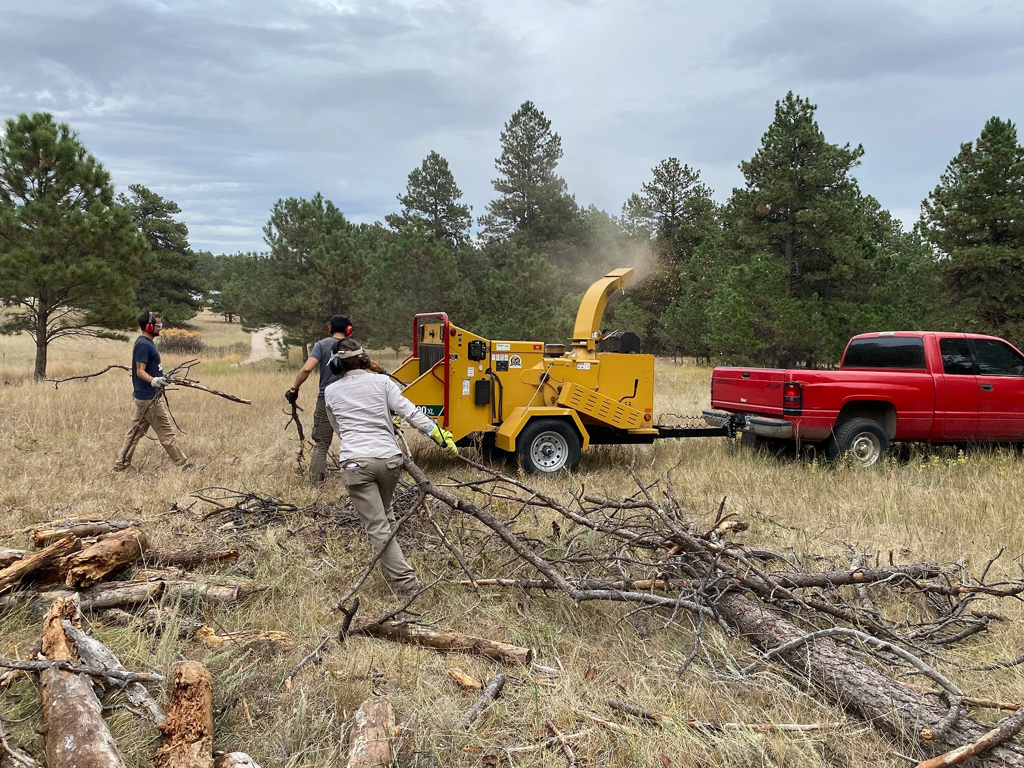 High levels of concentration while wood chopping.