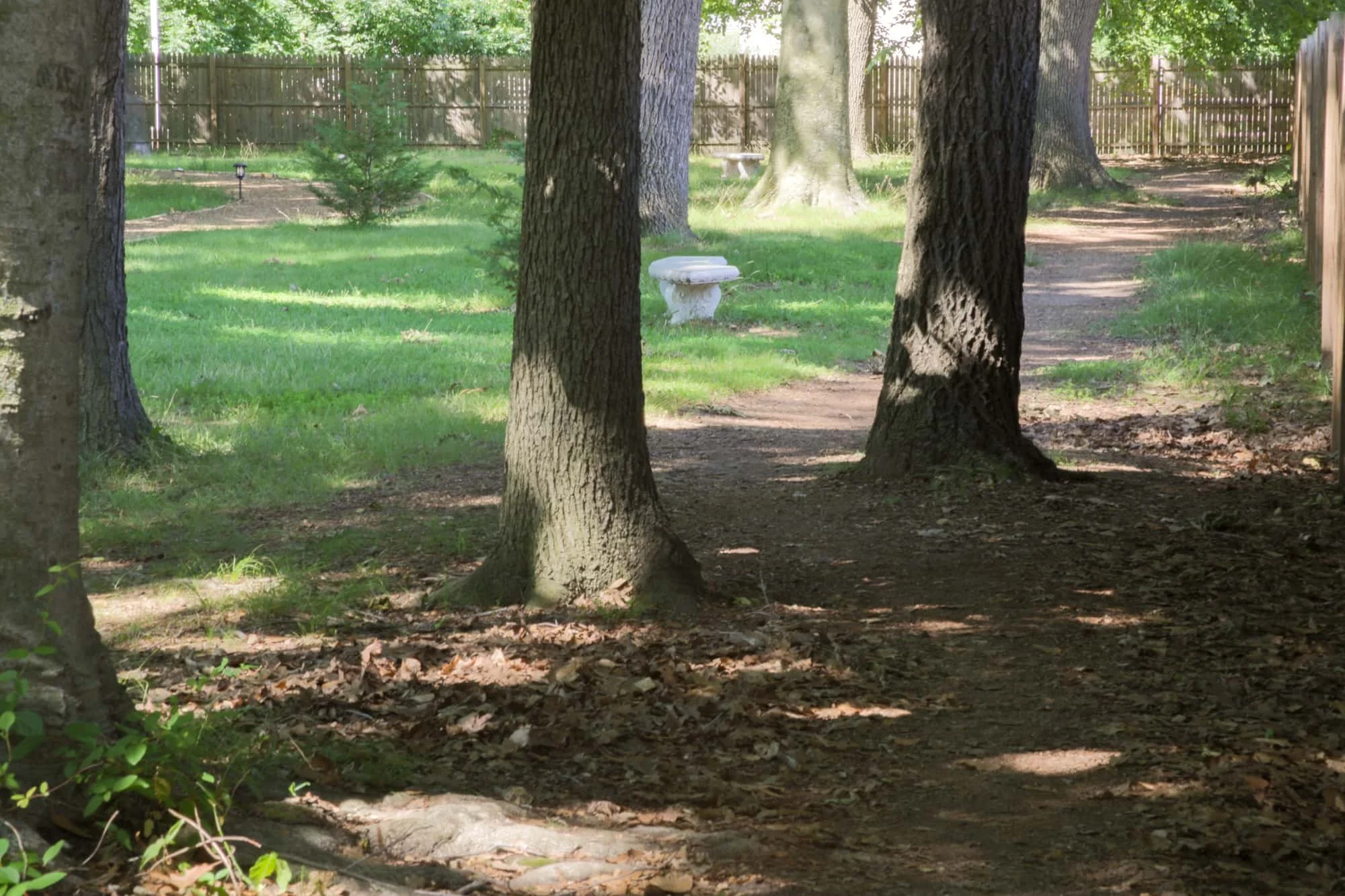 Male Walking Area