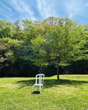 More Ground for Dhamma Bhanu

Three parcels of land next to the center in Kyoto now belong to Dhamma Bhanu: woodland, low-lying ground, and mountain forest along its edges. That means more parking, wider walking areas for male students, and a protect