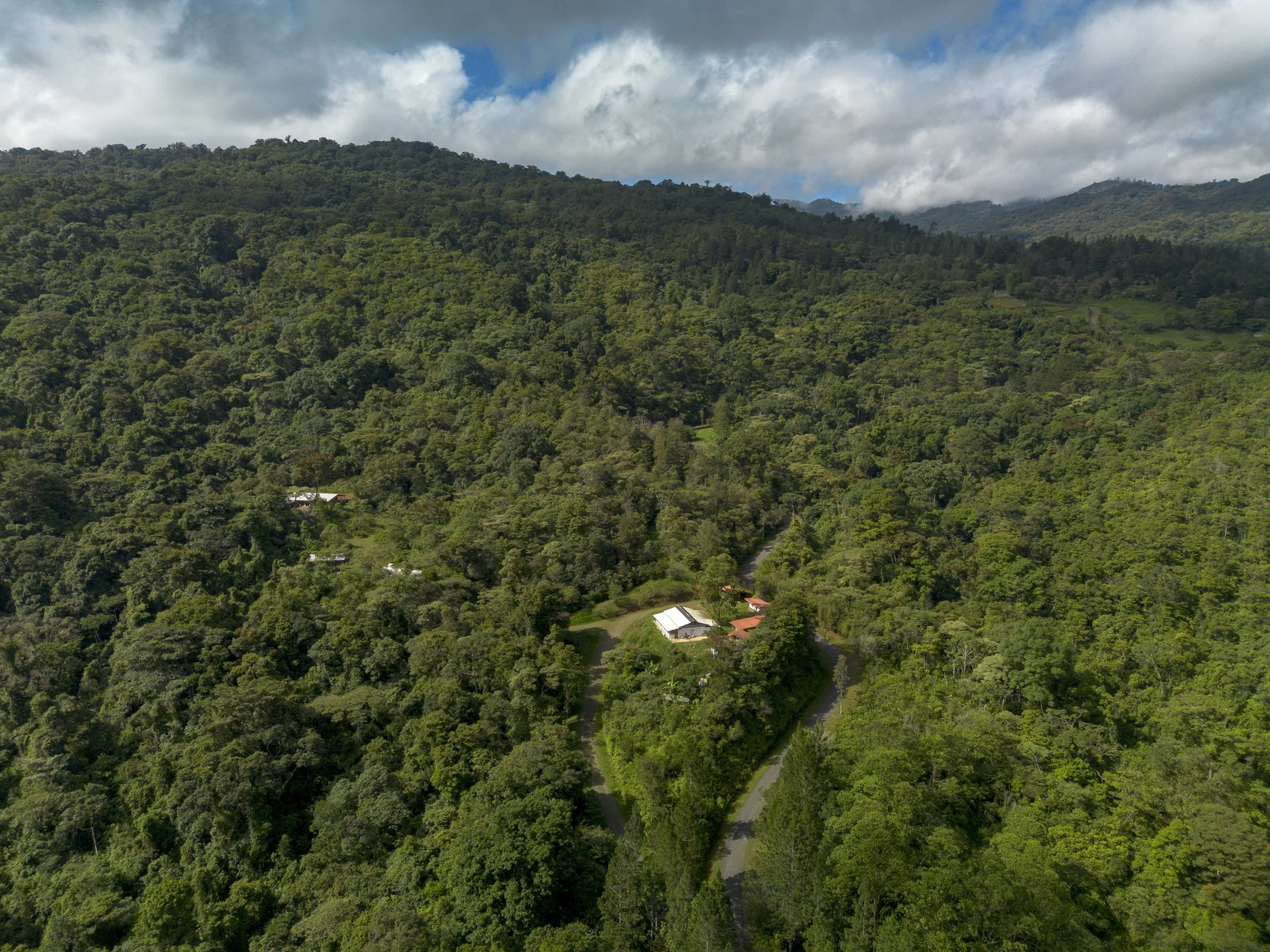 Aerial view of the forest valley and the Dhamma Ariya Vipassana Center.