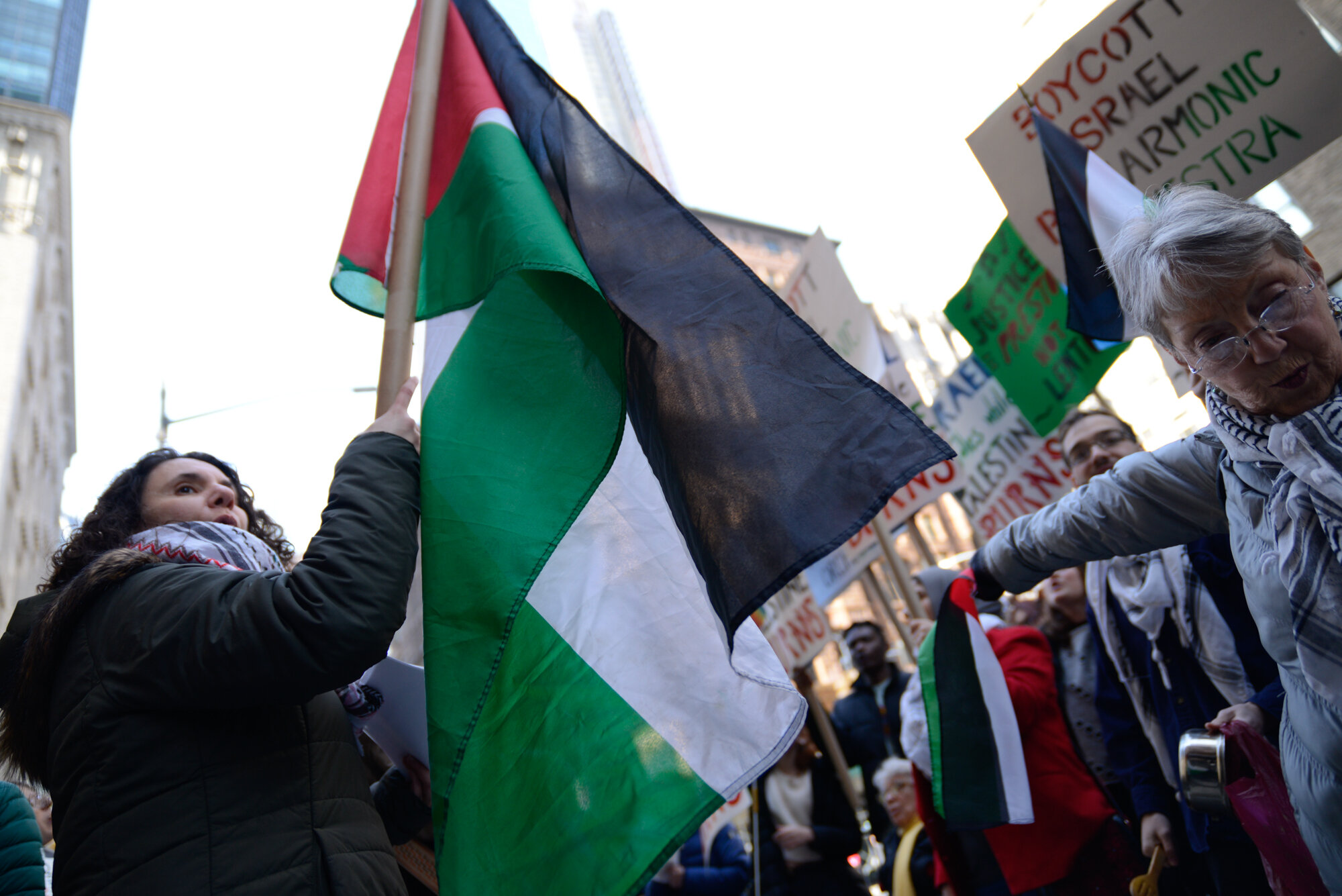  Protester holds a Palestinian flag  
