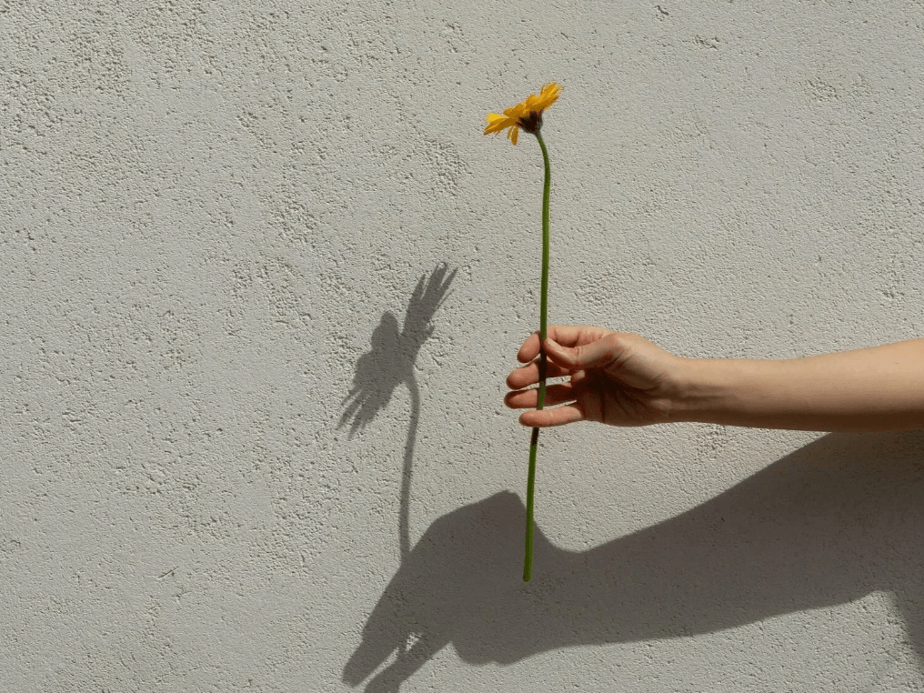 Image of woman holding yellow flower with light and shadows
