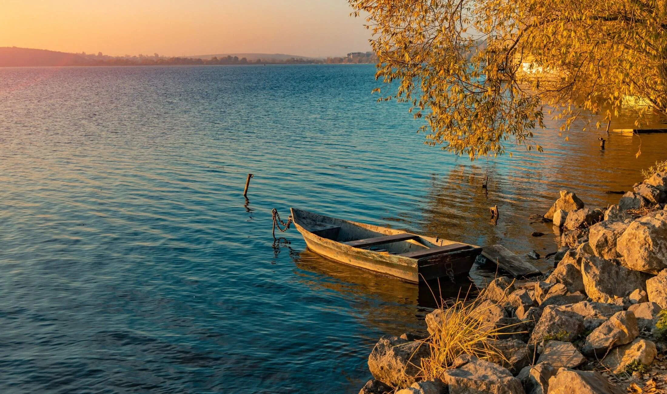 brown wooden boat on body of water during daytime