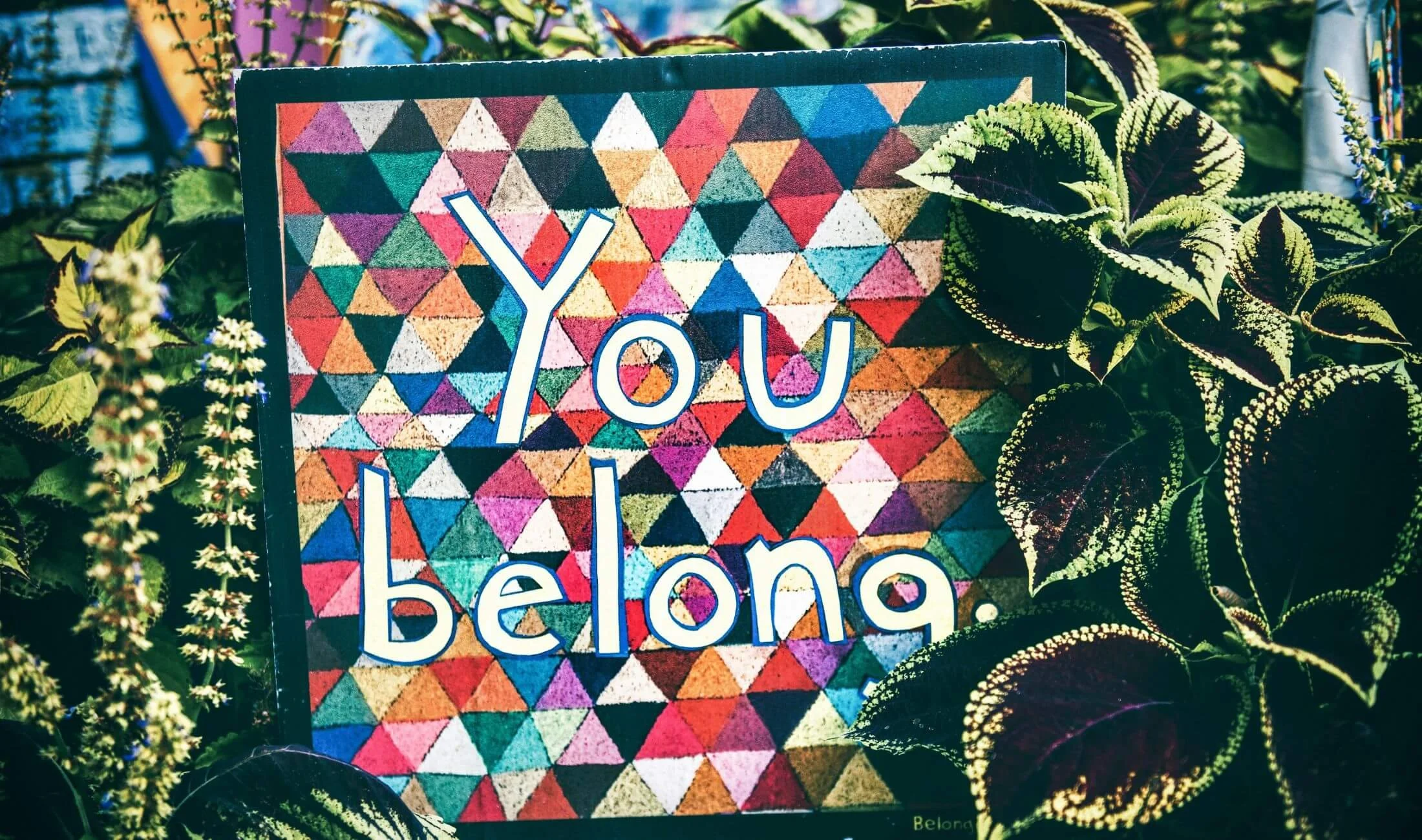 a sign that says you belong surrounded by plants(1).jpg