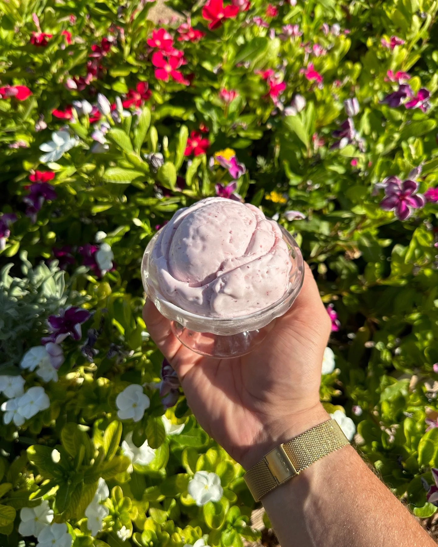 Strawberry Rose is back!

Our latest flavor is now available &mdash; made of strawberries and rose water.

Try it while you can!