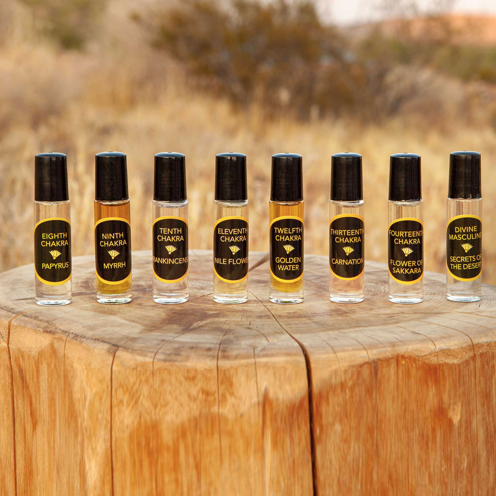 Cosmic Chakra Oils