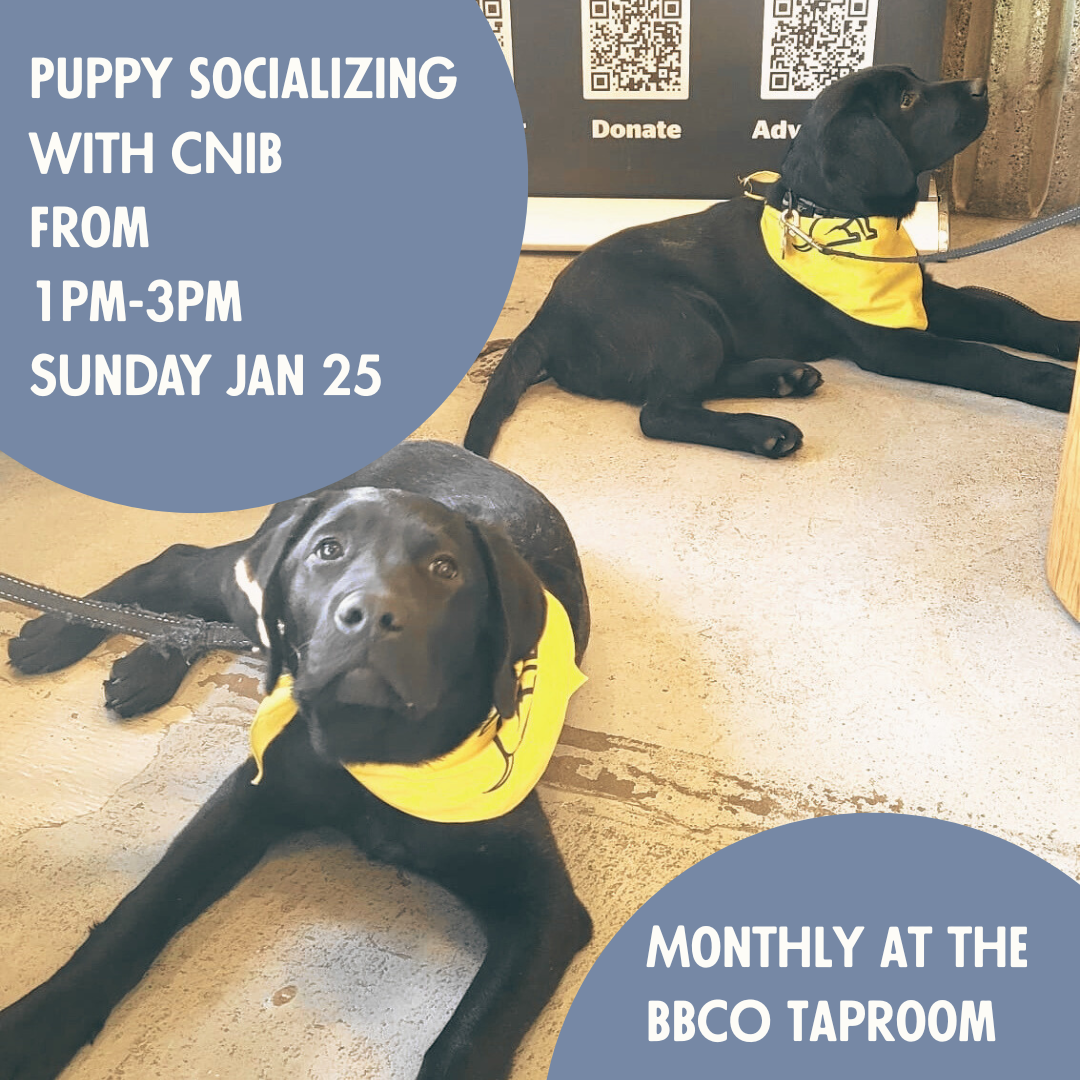 Puppy + Pint Social