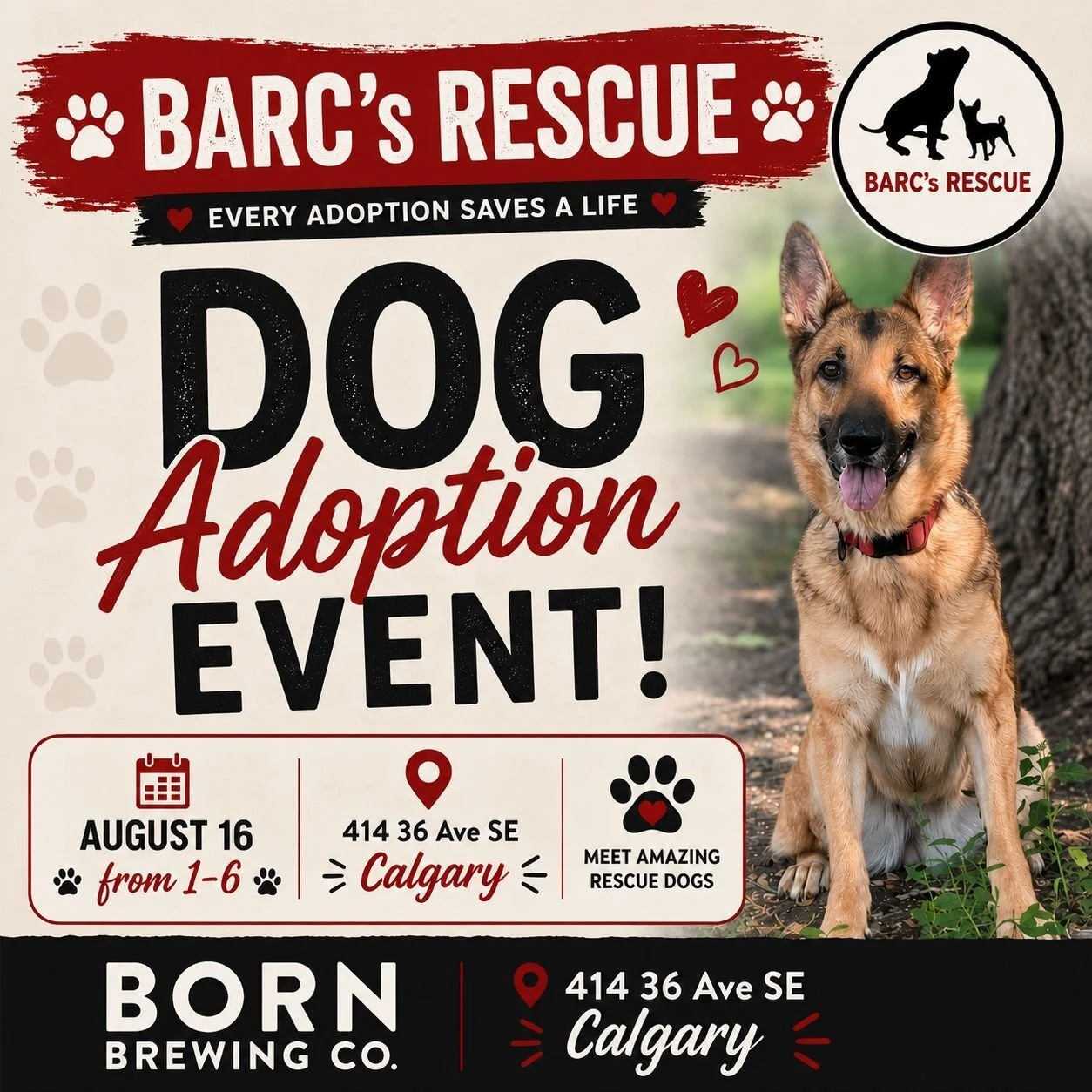 Adoption Day with BARC's Rescue
