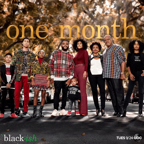 BSH One Month GIF.gif