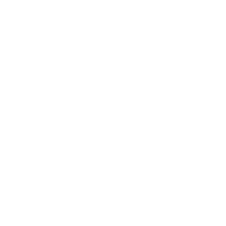 Ascent Mentorships