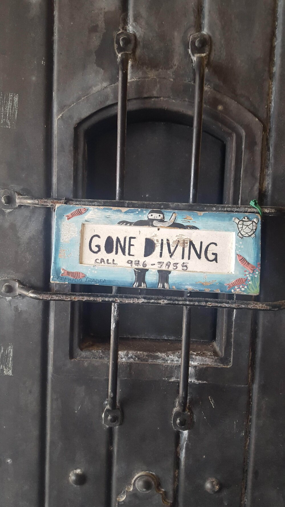 Gone diving