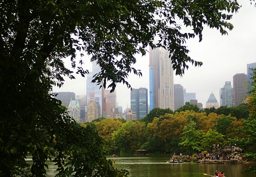 View of Central Park