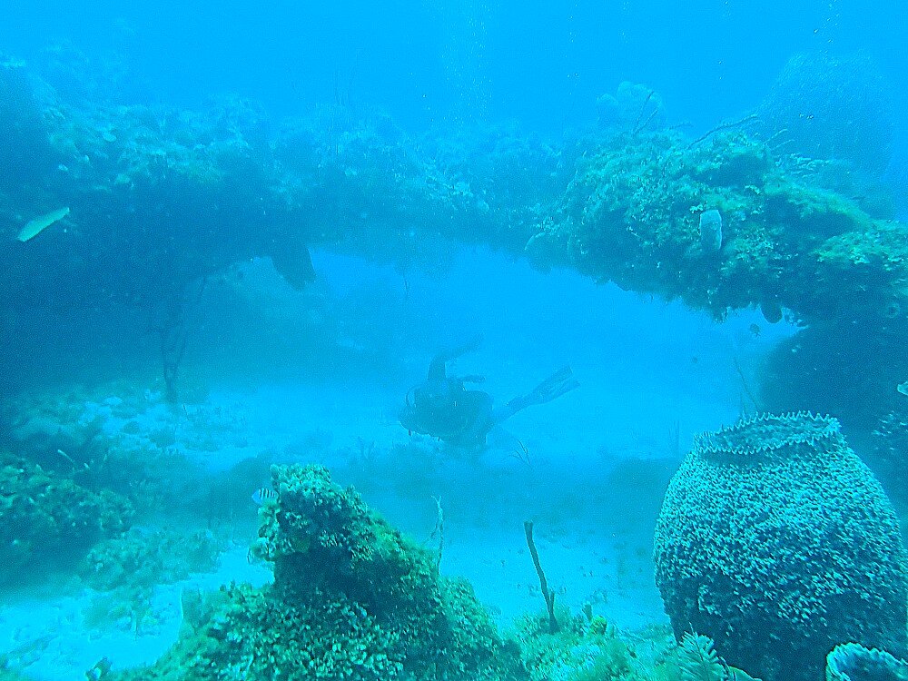 Fantastic dive in Jamaica!