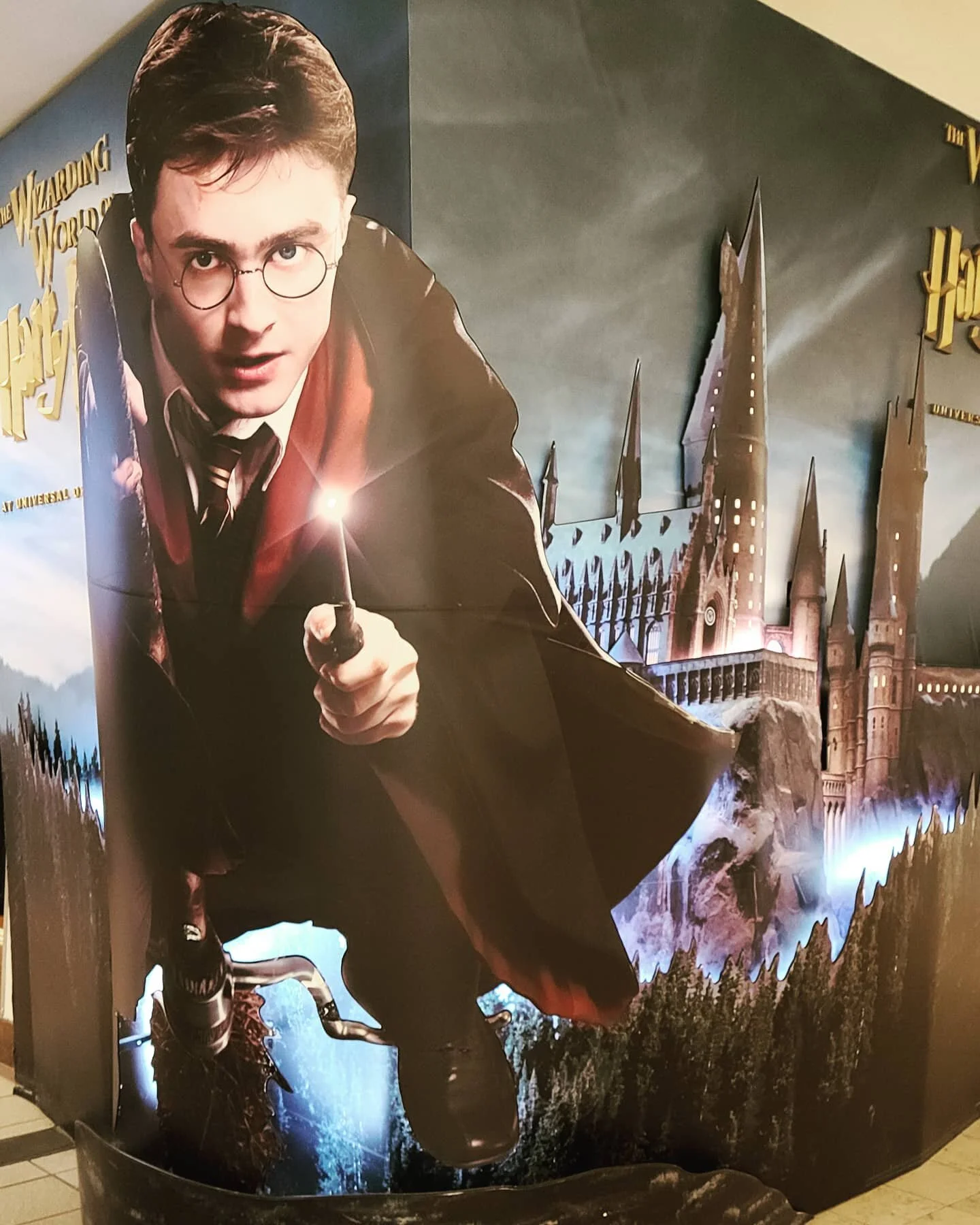 Expecto patronum!!!

Love all things Harry Potter 💕

#harrypotter #harrypotterworld #islandsofadventure #orlandoflorida #wizardingworldofharrypotter #wizardingworld #hermoinegranger #ronweasley #theweasleys #theburrow #diagonalley #hogsmeade #hogwar