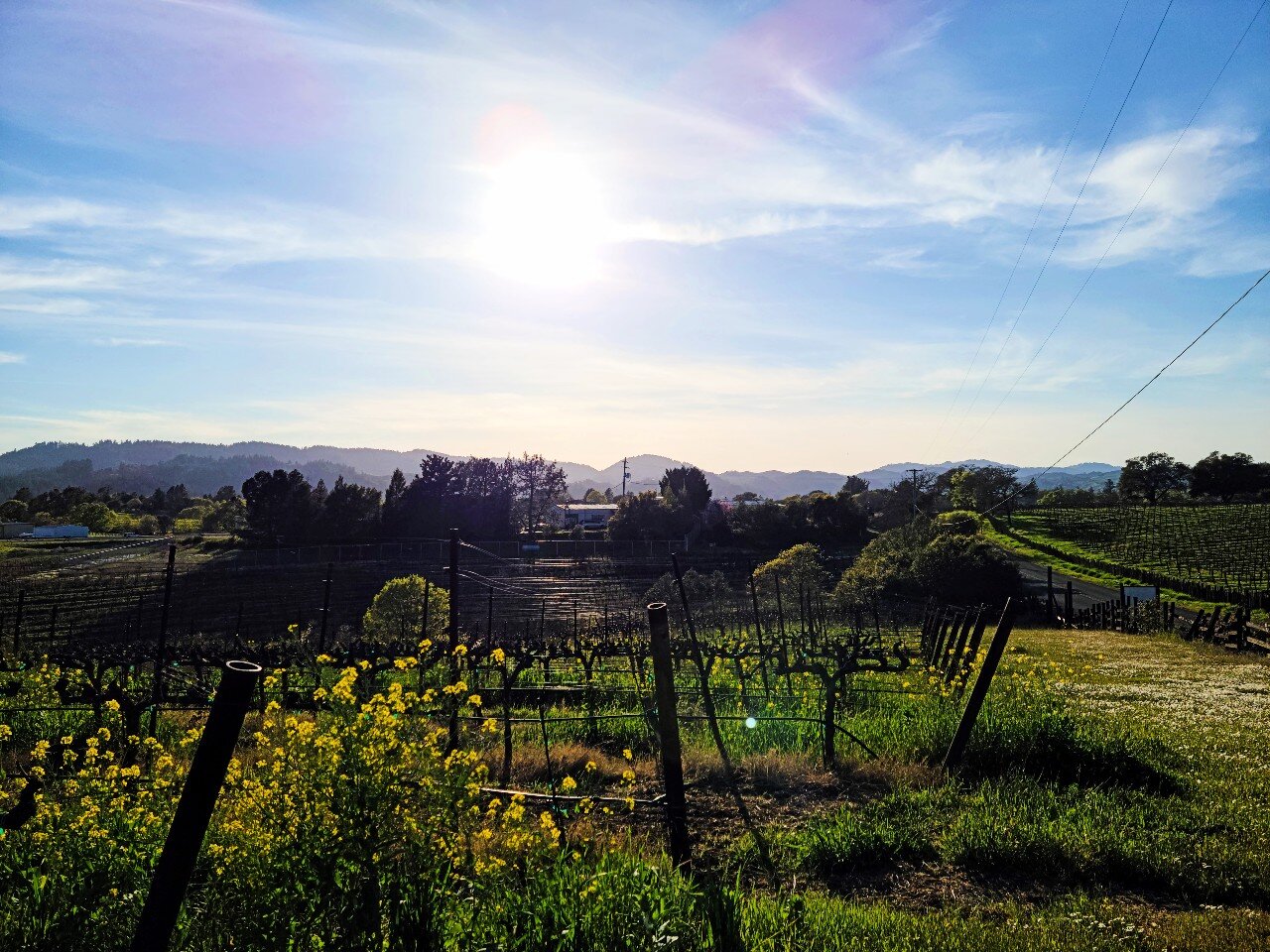 Best of Healdsburg, California