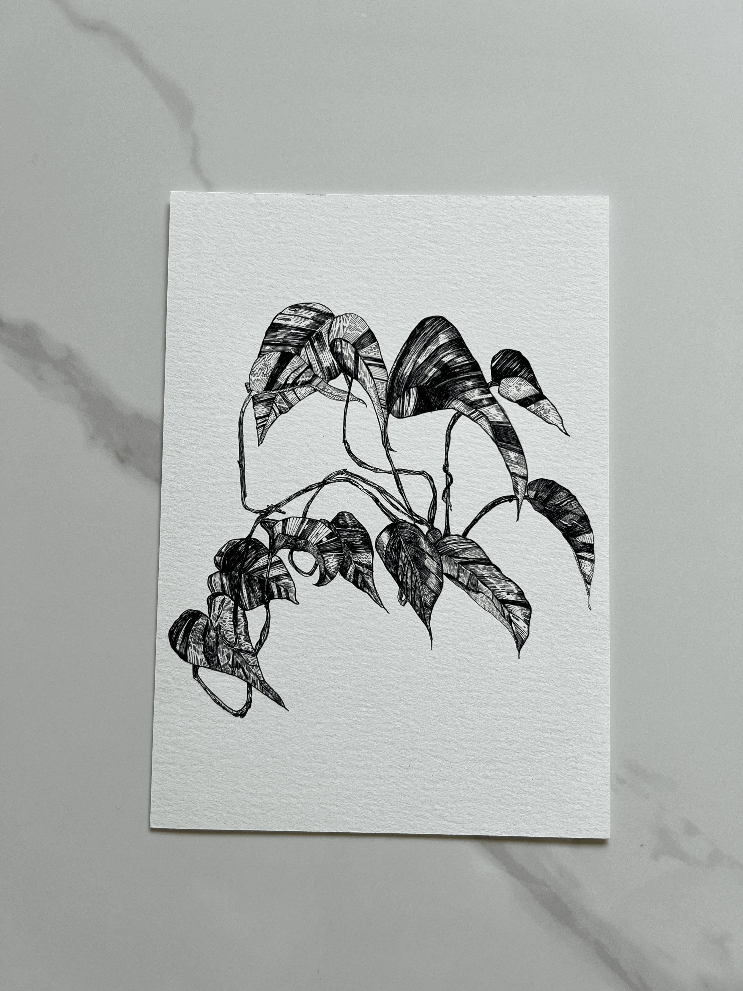 tempImagePaGcA8.gif