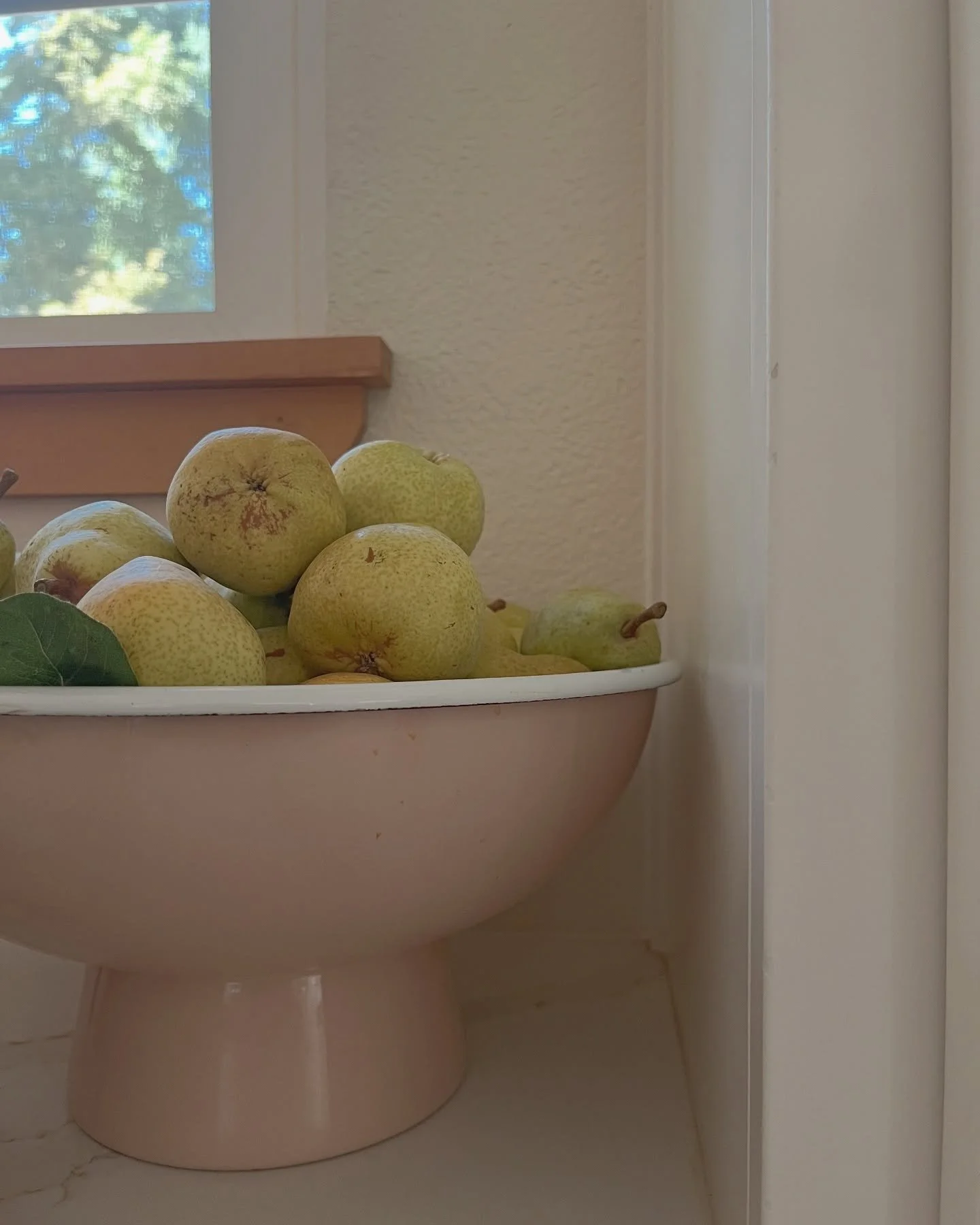 The perfect pear

#objectsforamindfullife #womenowned #womenownedbusiness #portlandoregon #madeinportland #mindfulness #harbourpublic #artisancrafted #sustainablymade #sustainablysourced #falconenamel #falconenamelware #enamelware #curatedsets #kitch