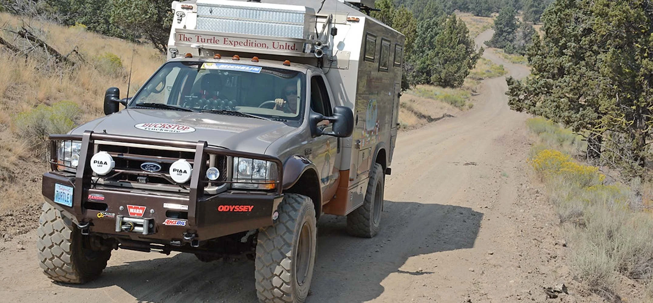 Turtle Expedition 5.jpg