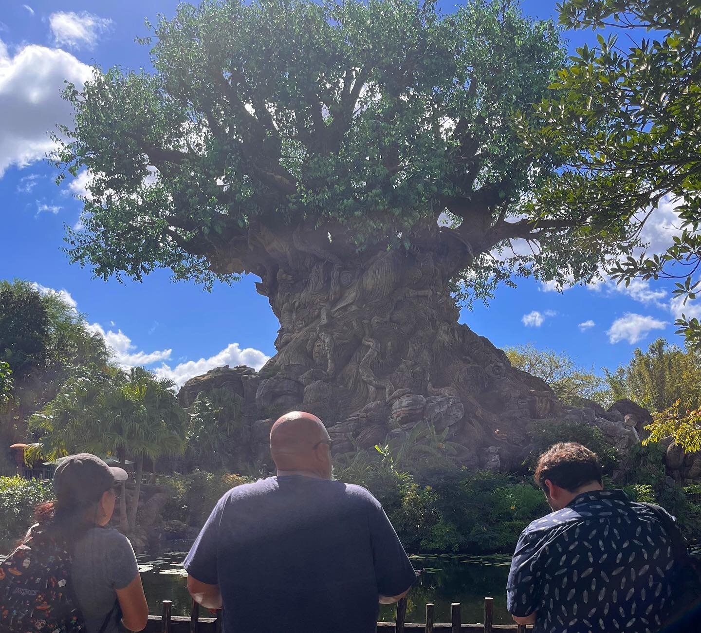 139: Walt Disney World Vacation 2022 🌐 Animal Kingdom 🦒