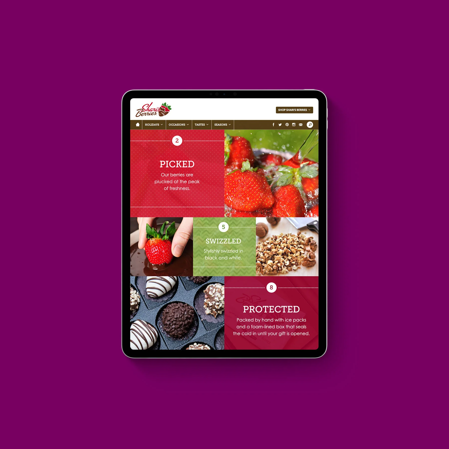 Shari's Berries Interactive Stories & Email Design