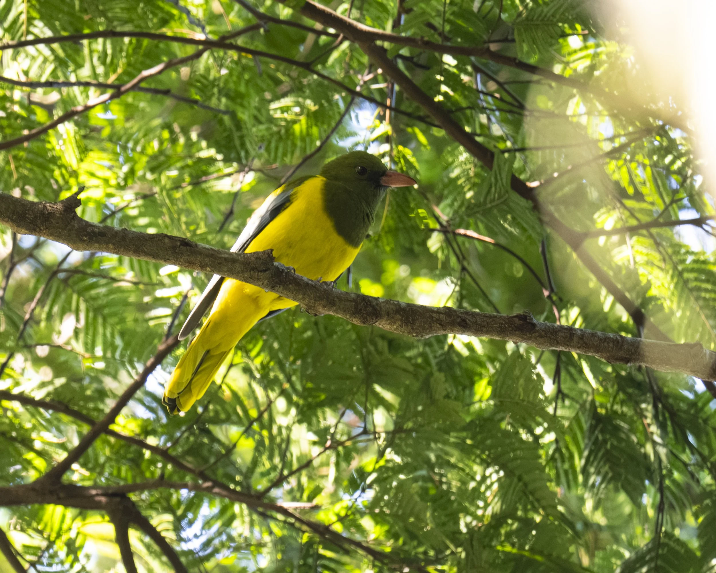 DSC_1076.jpg