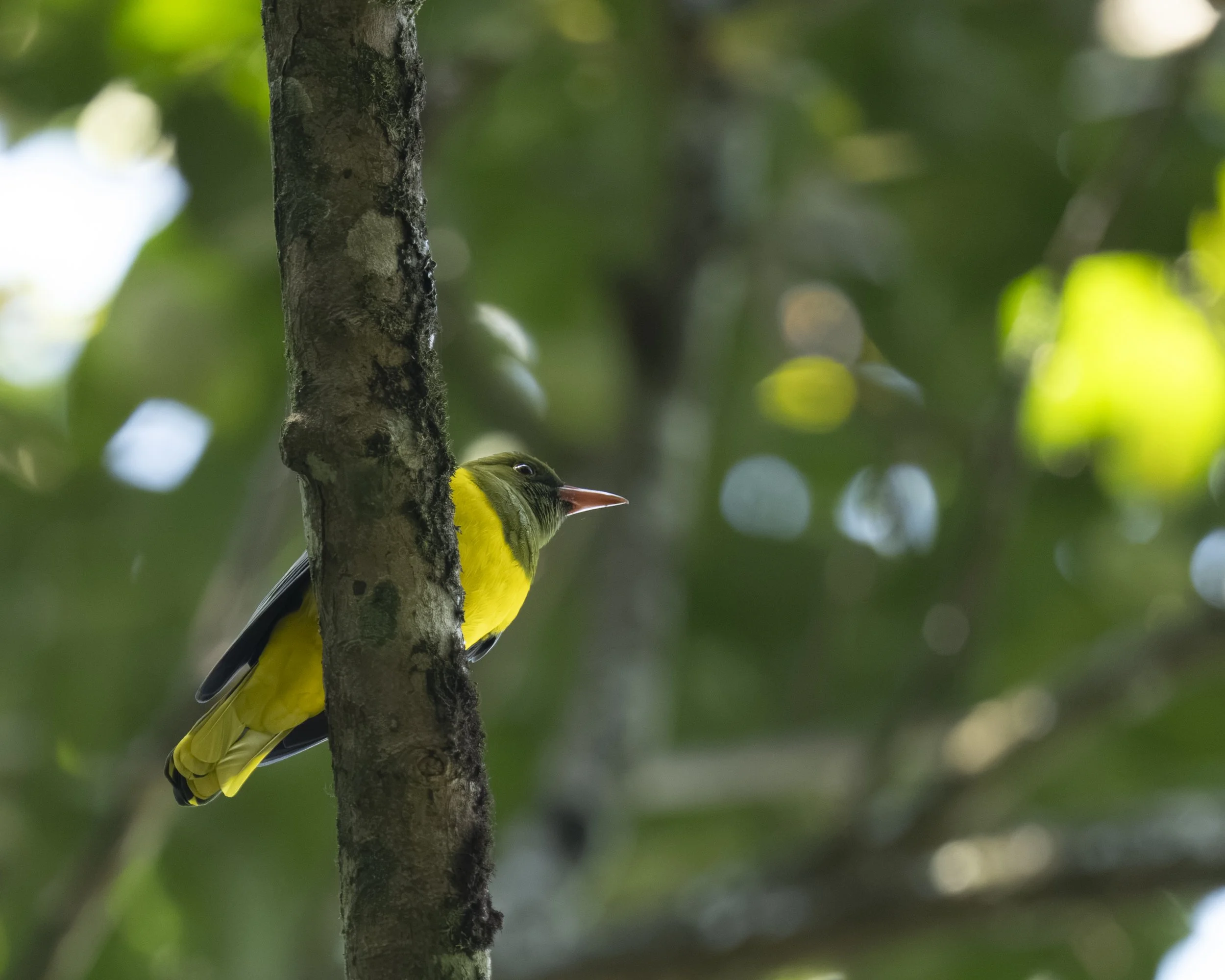 DSC_2329.jpg