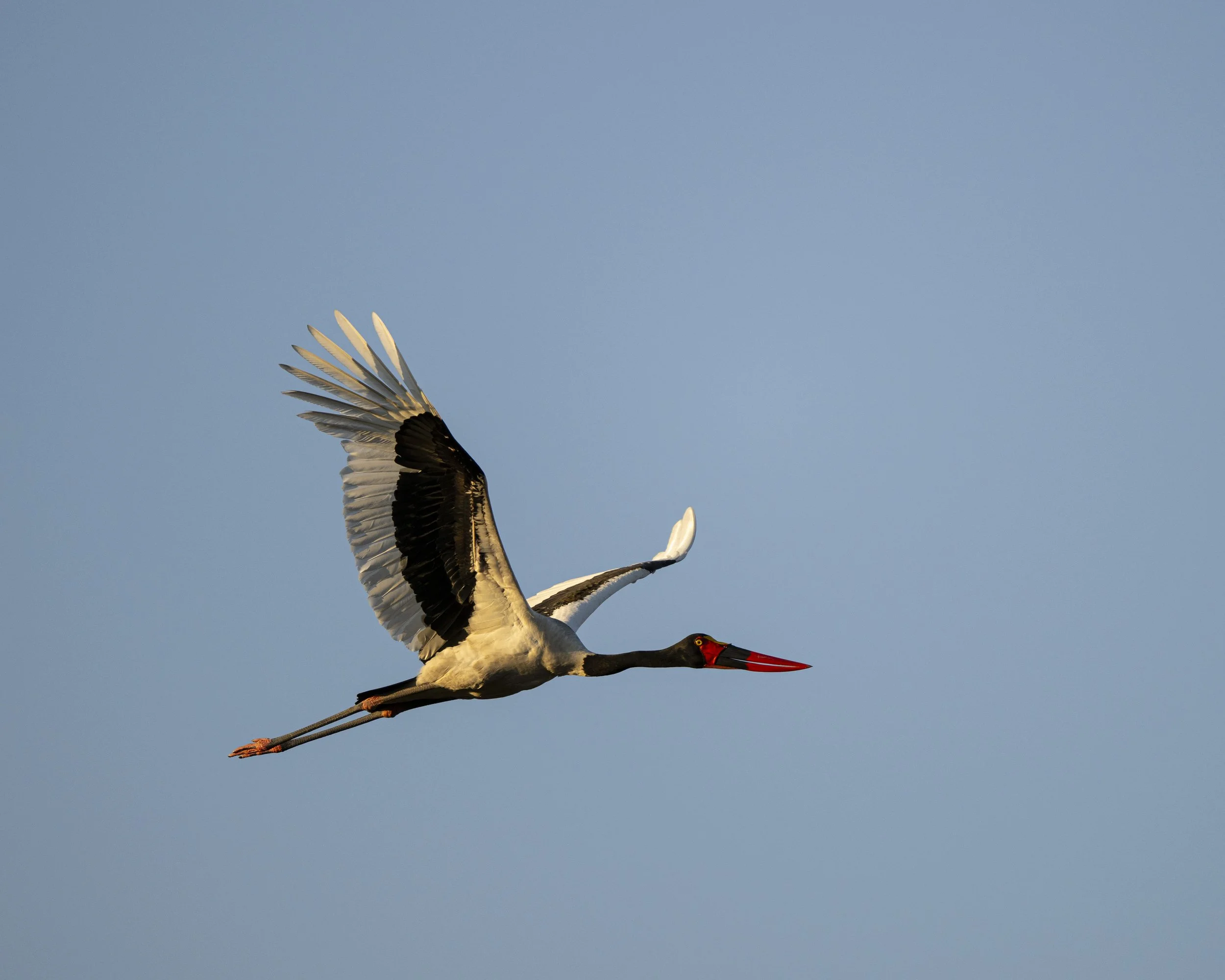 DSC_6719.jpg