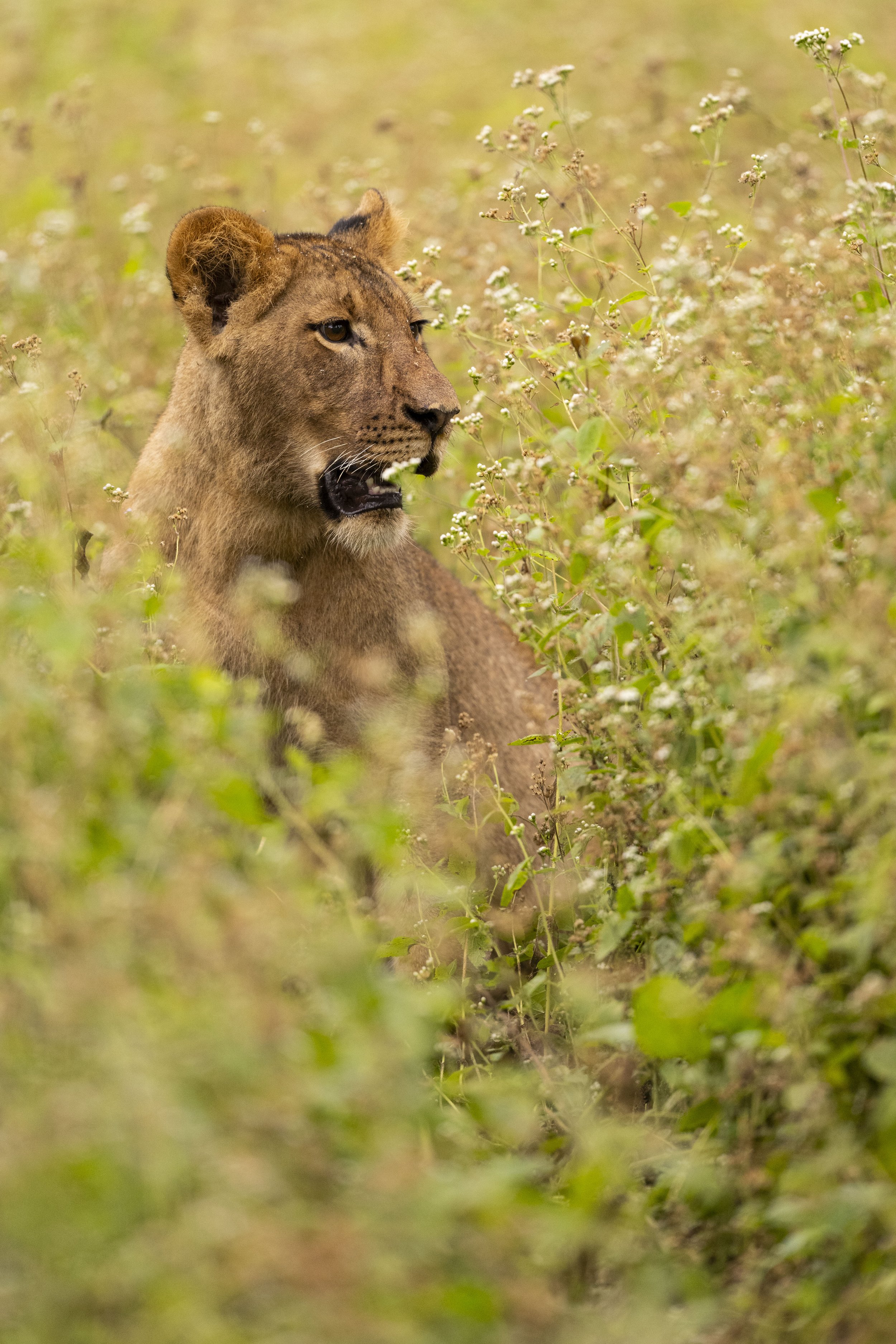 DSC_6090.jpg