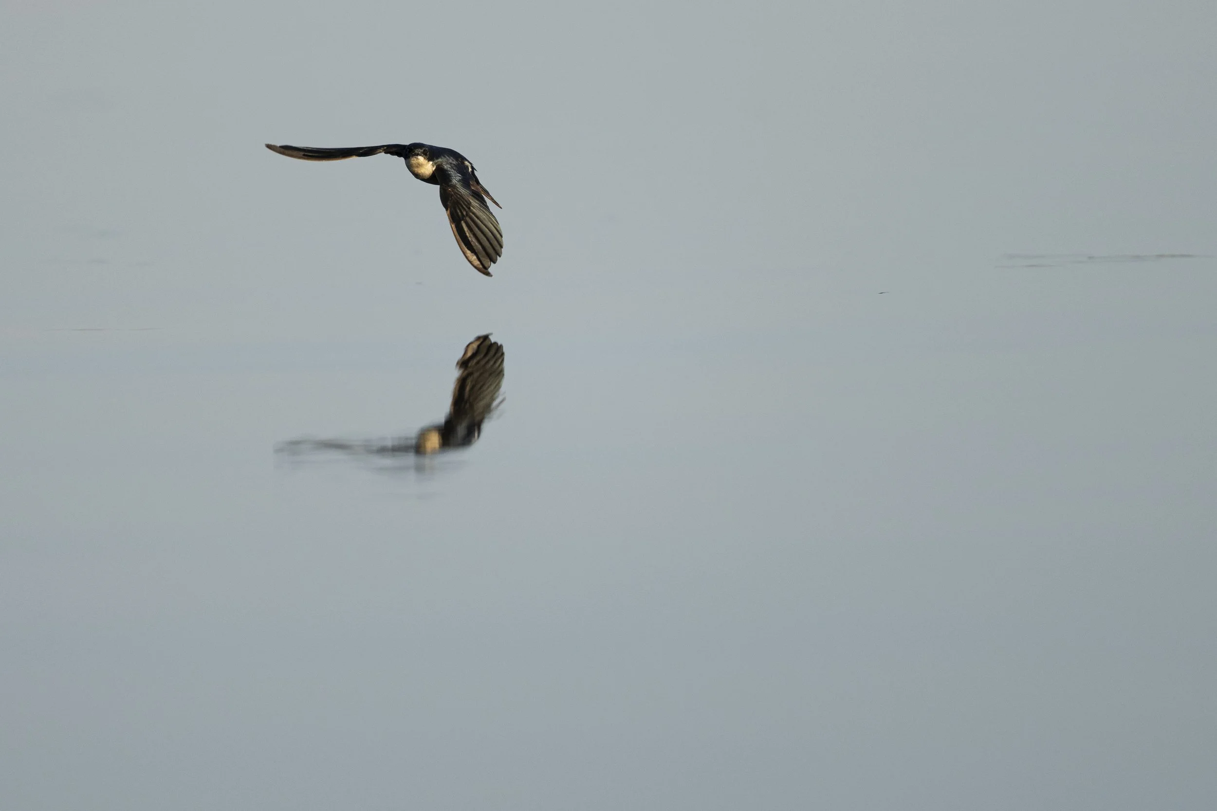 DSC_4022.jpg