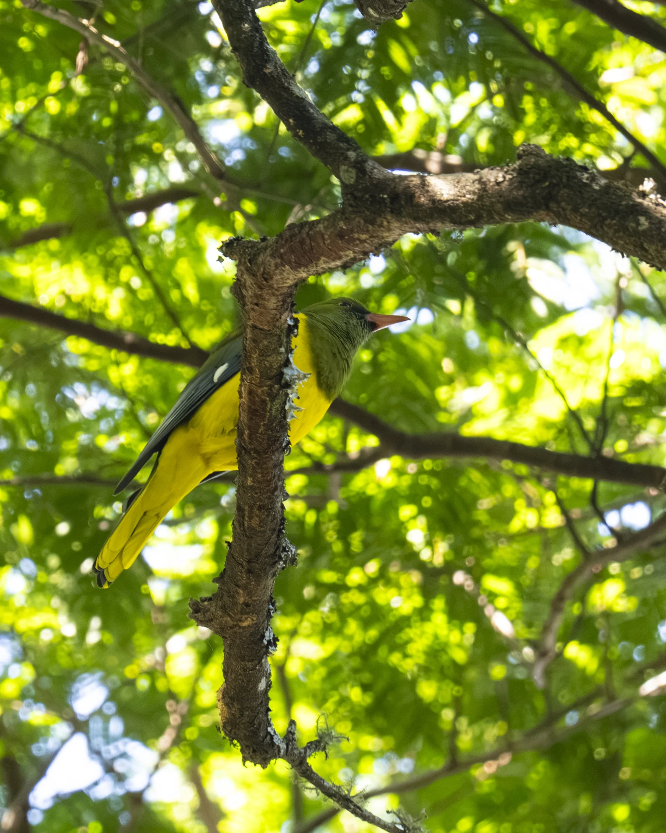 DSC_1225.jpg