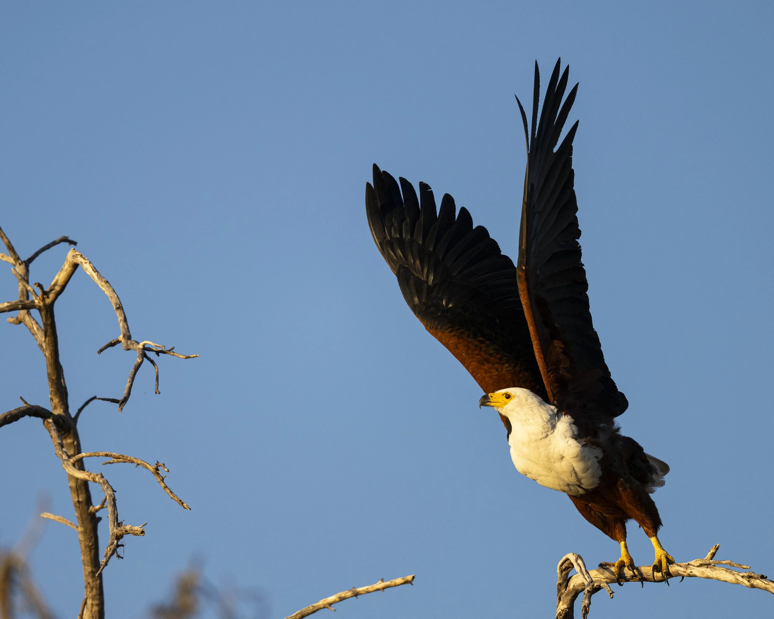 DSC_0919.jpg