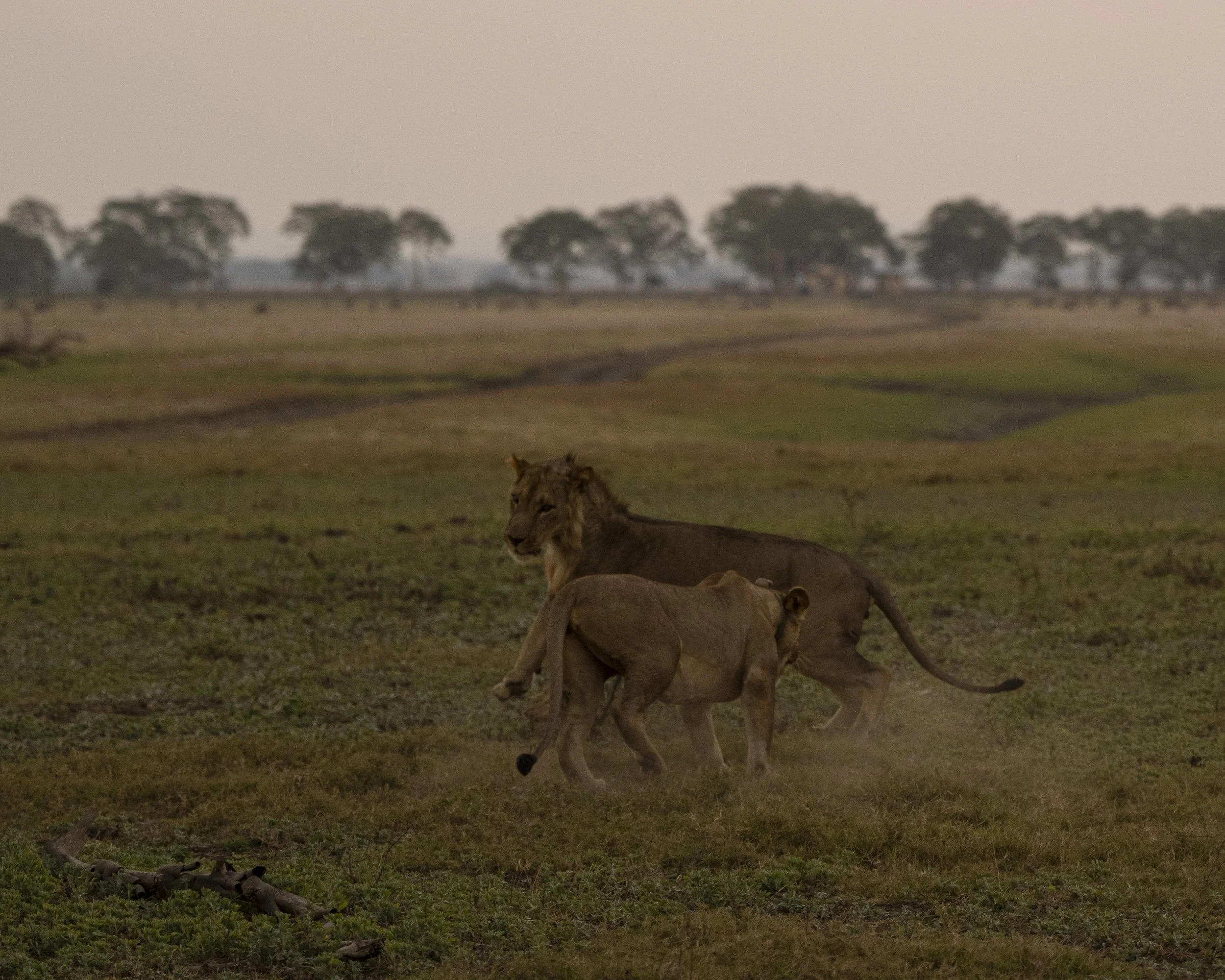 DSC_1587A.jpg